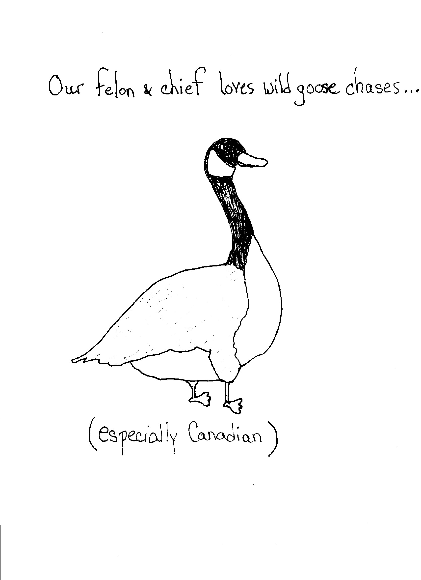 HIs favorite goose chase…