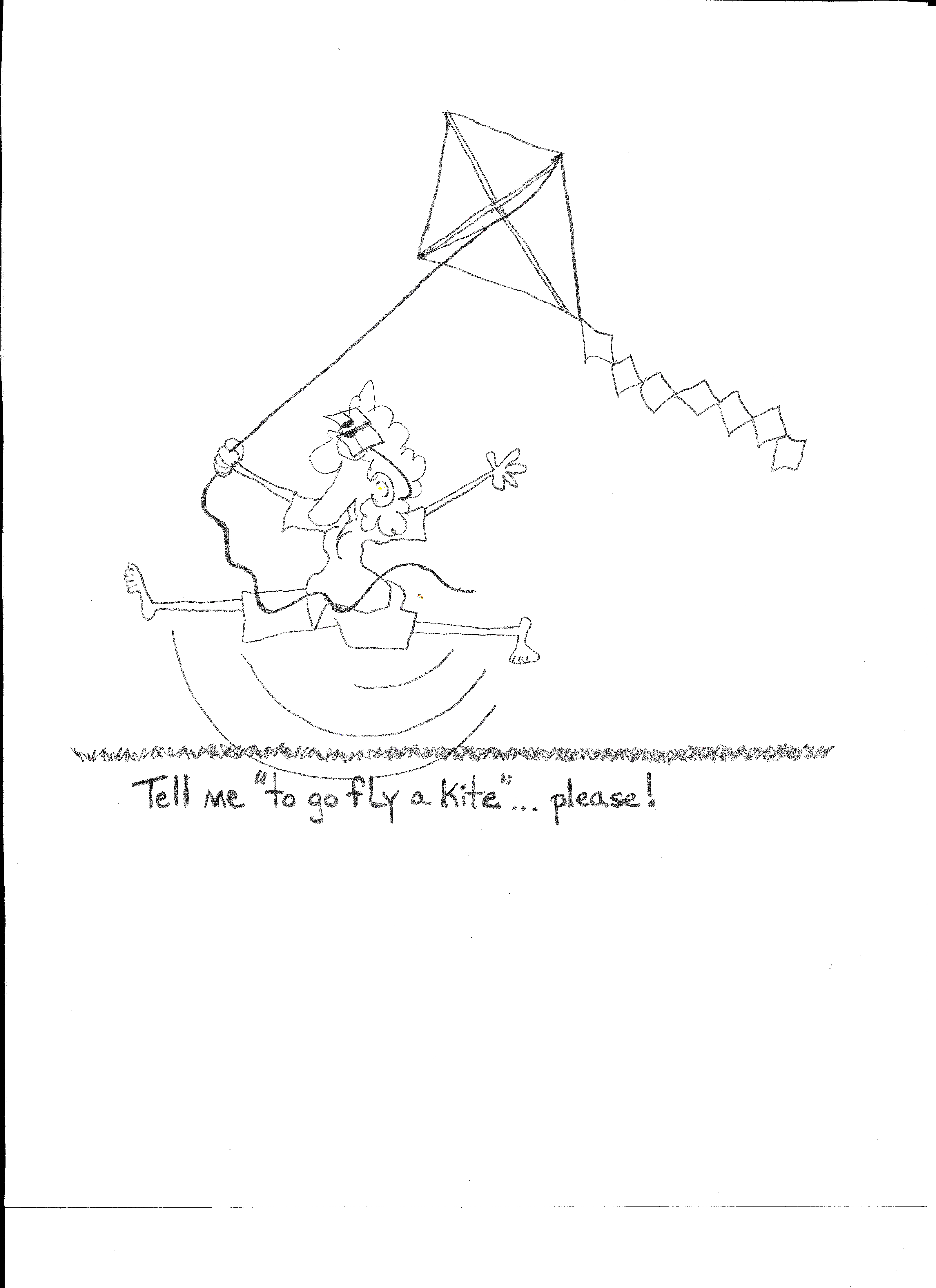 Tell Me To Go Fly A Kite Please