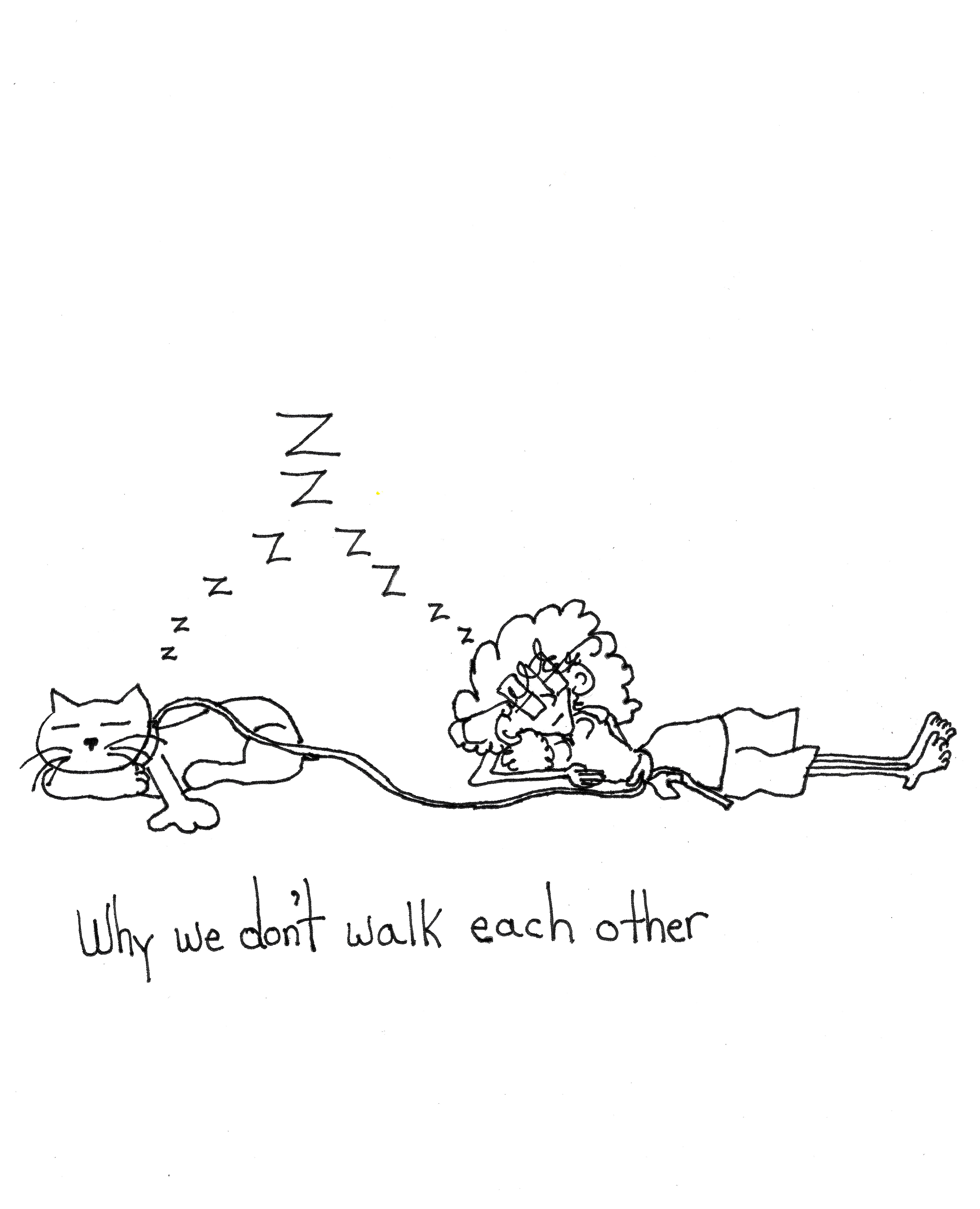 Why We Dont Walk Each Other