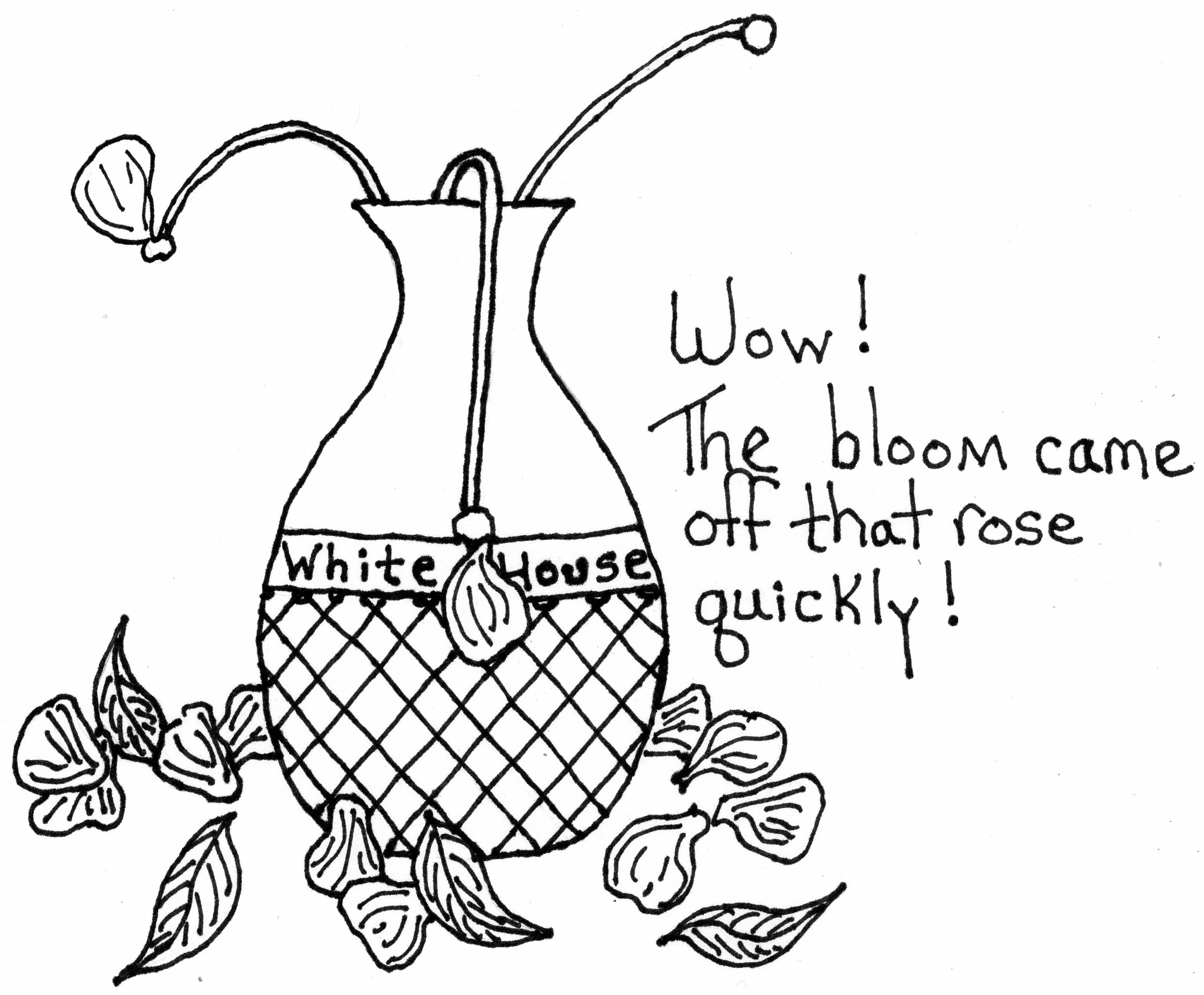 Bloom Off The Rose