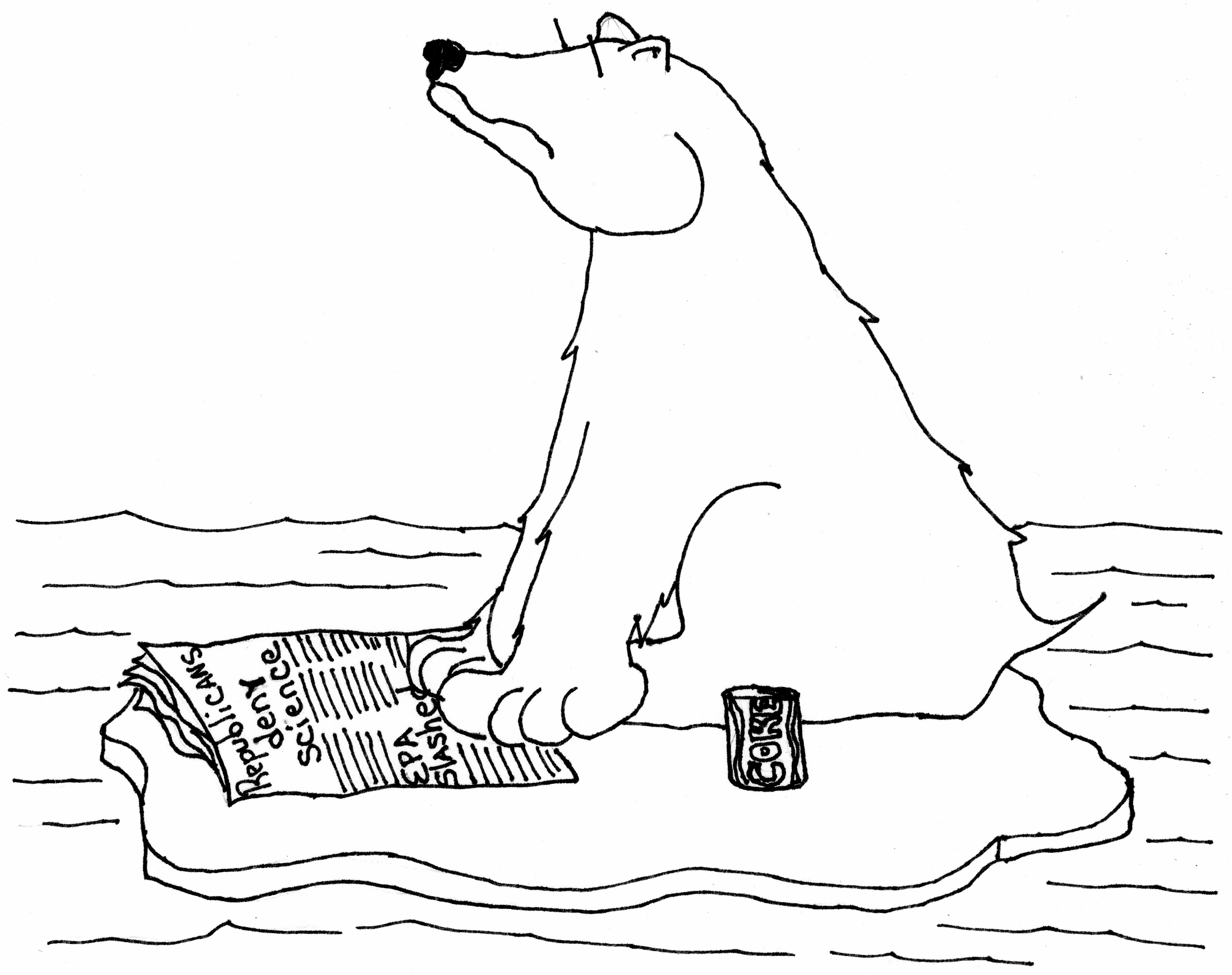 End Of The Bear