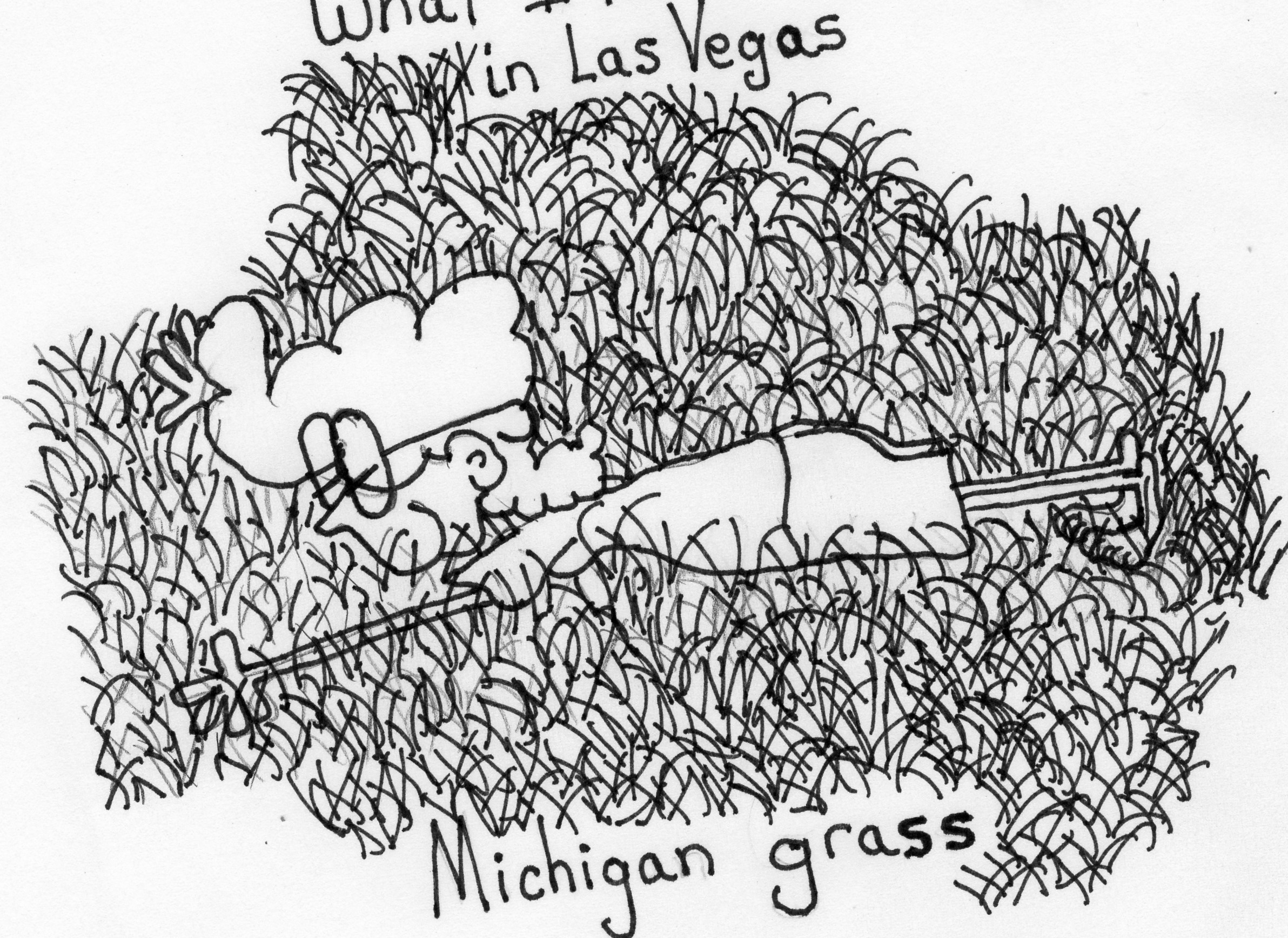 Michigan Grass