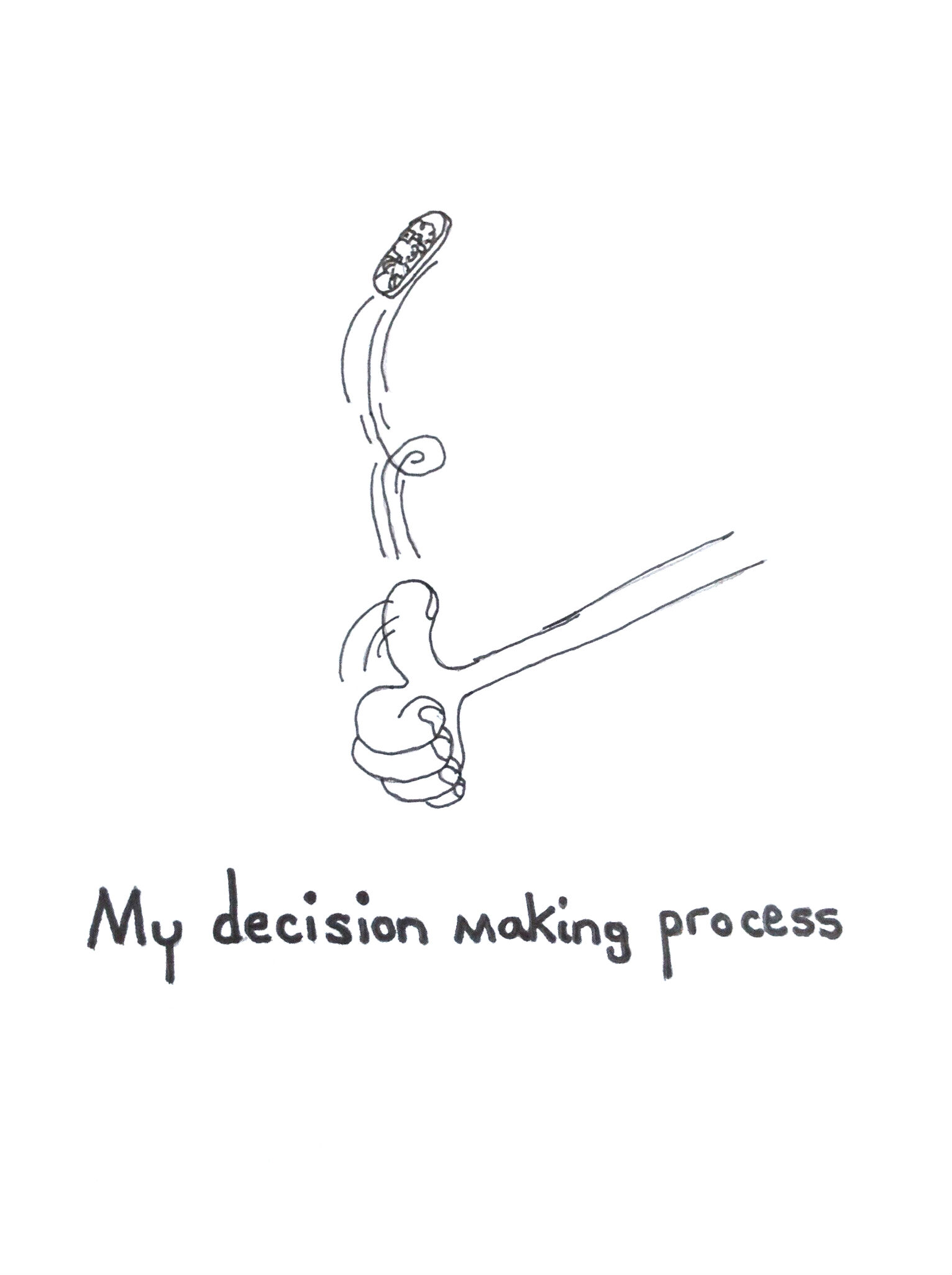 My Decision Making