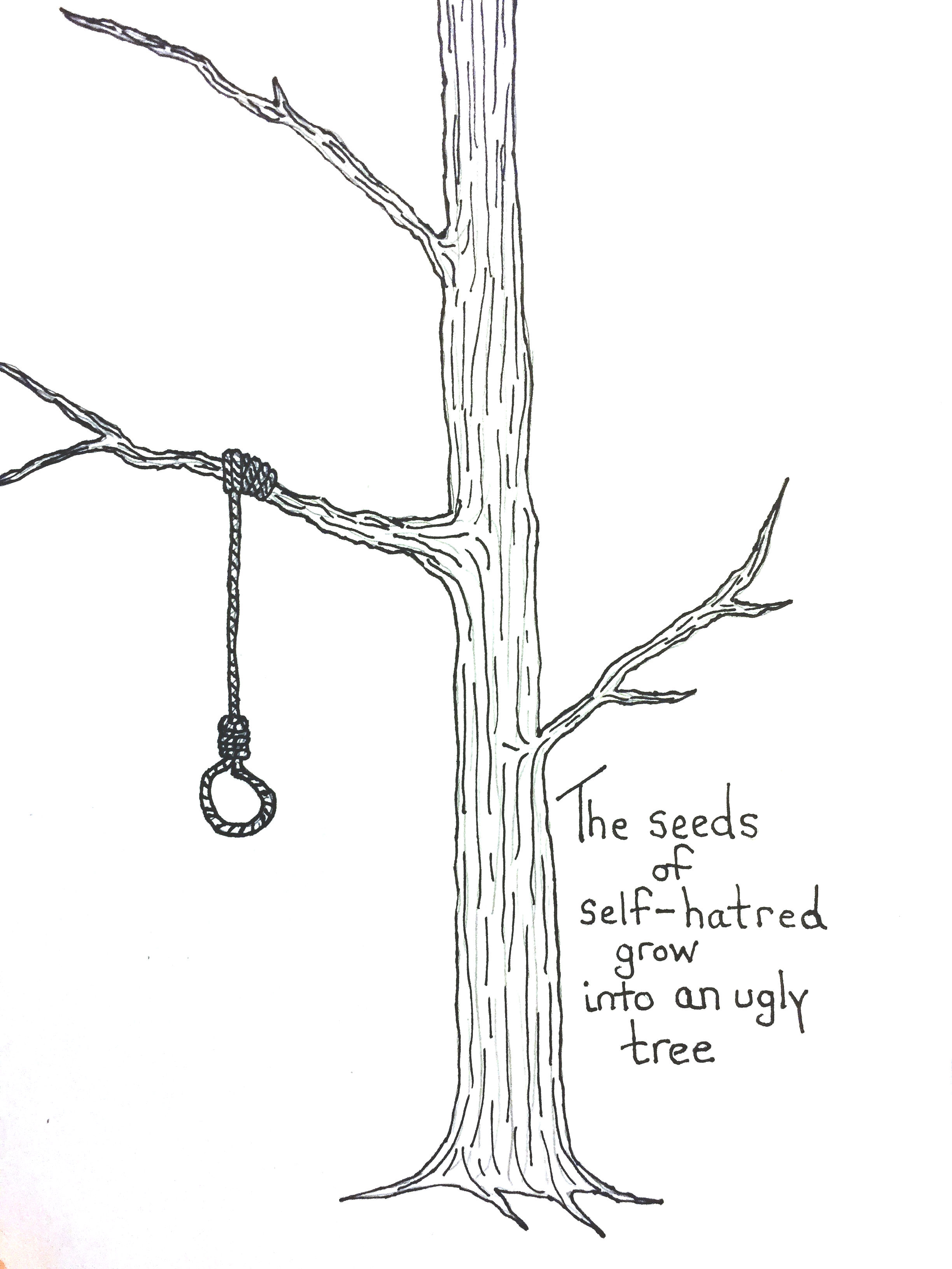 Seeds