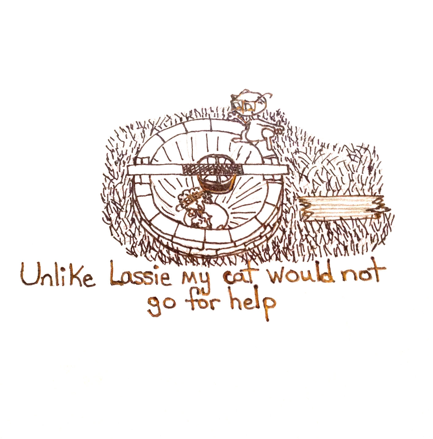 Not Lassie