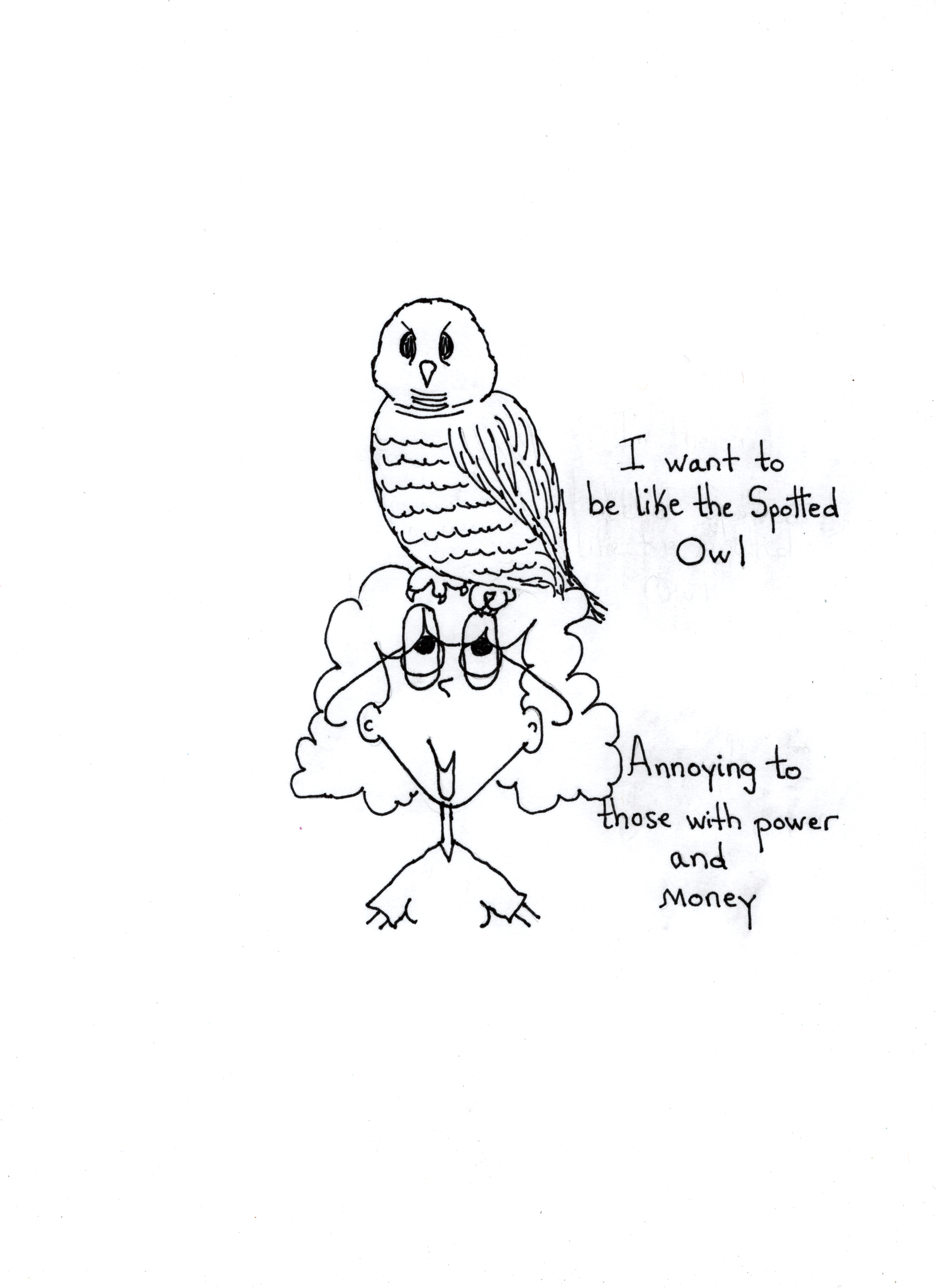 Spotted Owl