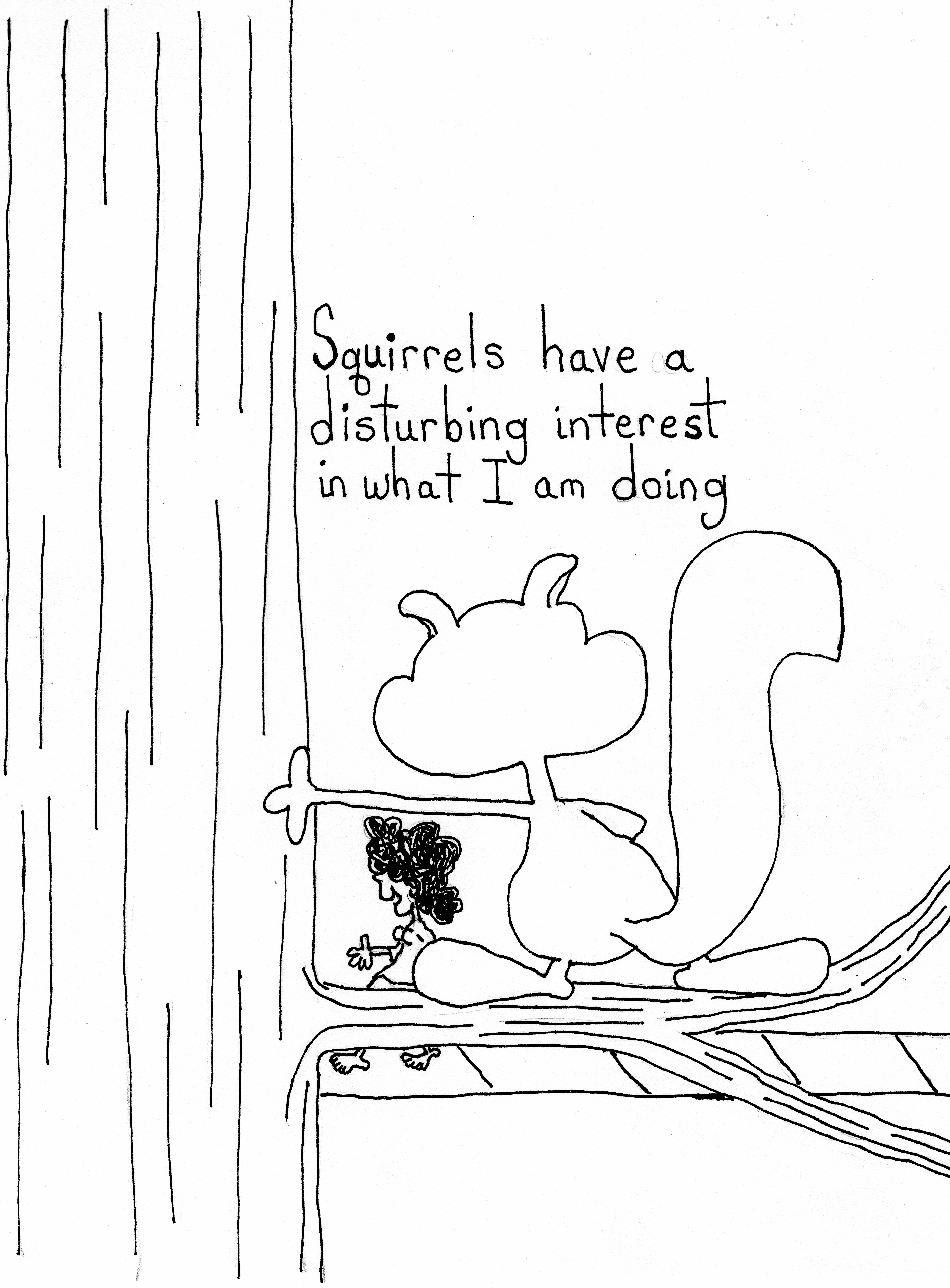 Squirrels
