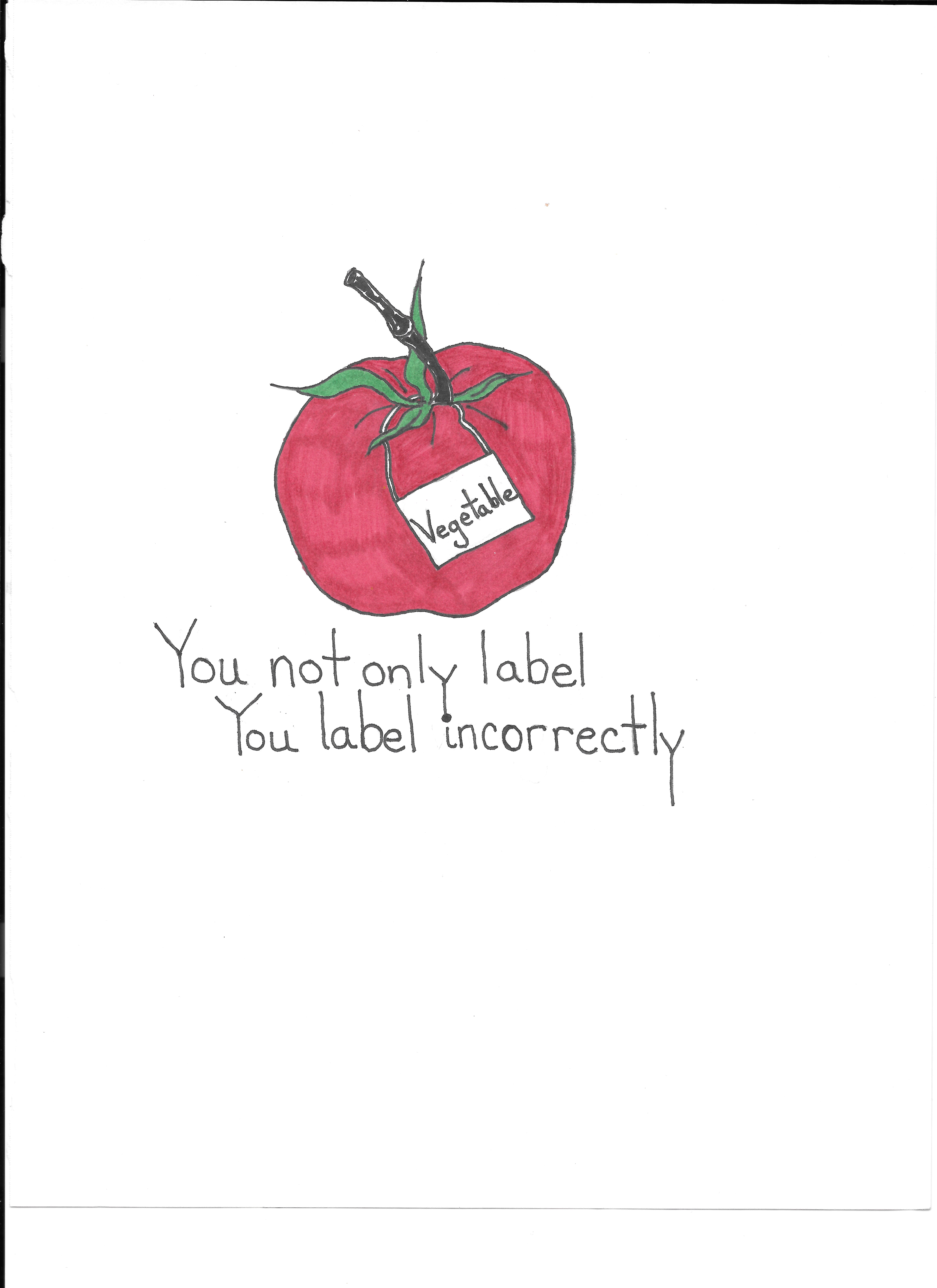You Not Only Label You Label Incorrectly