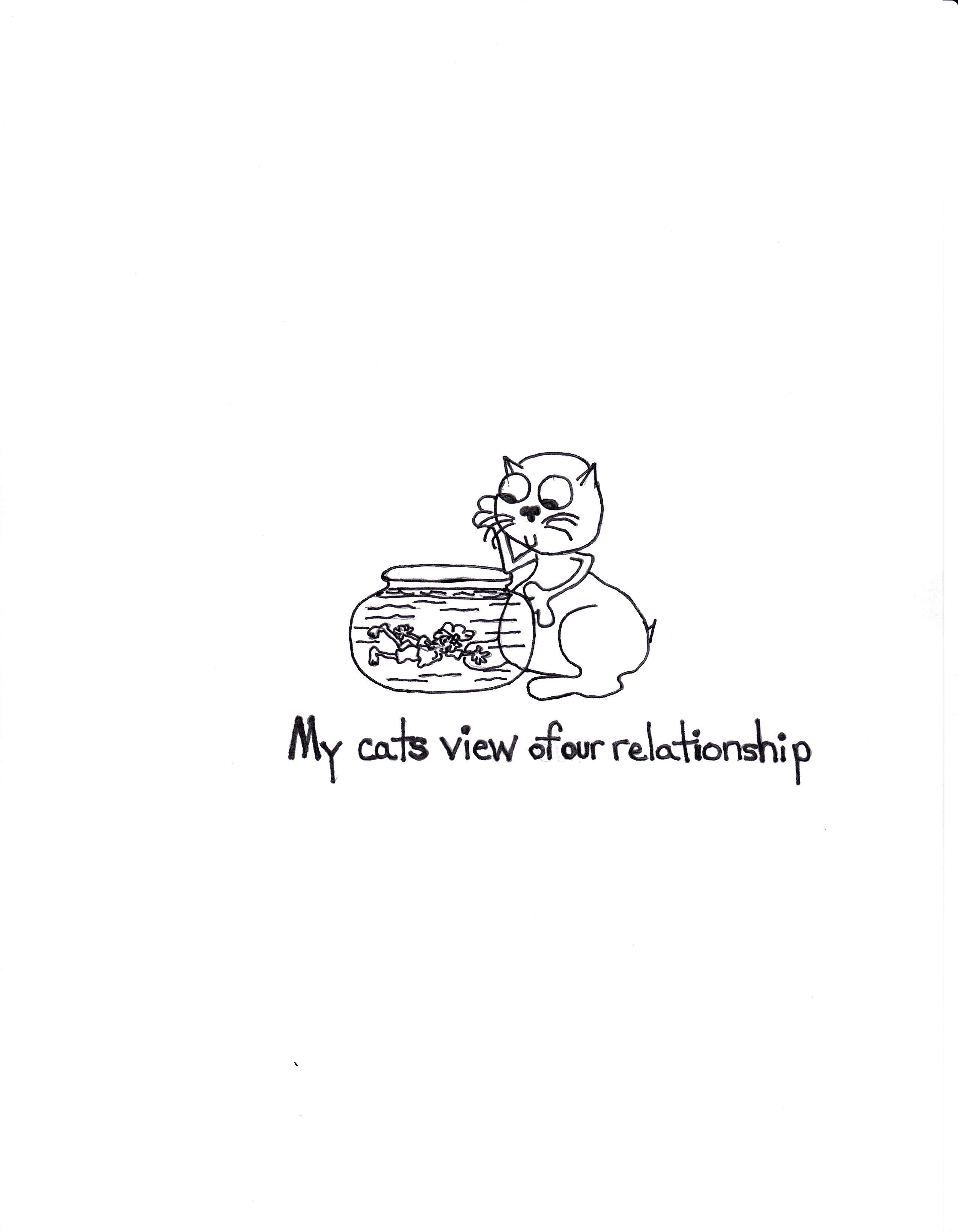 My Cats View Of Our Relationship
