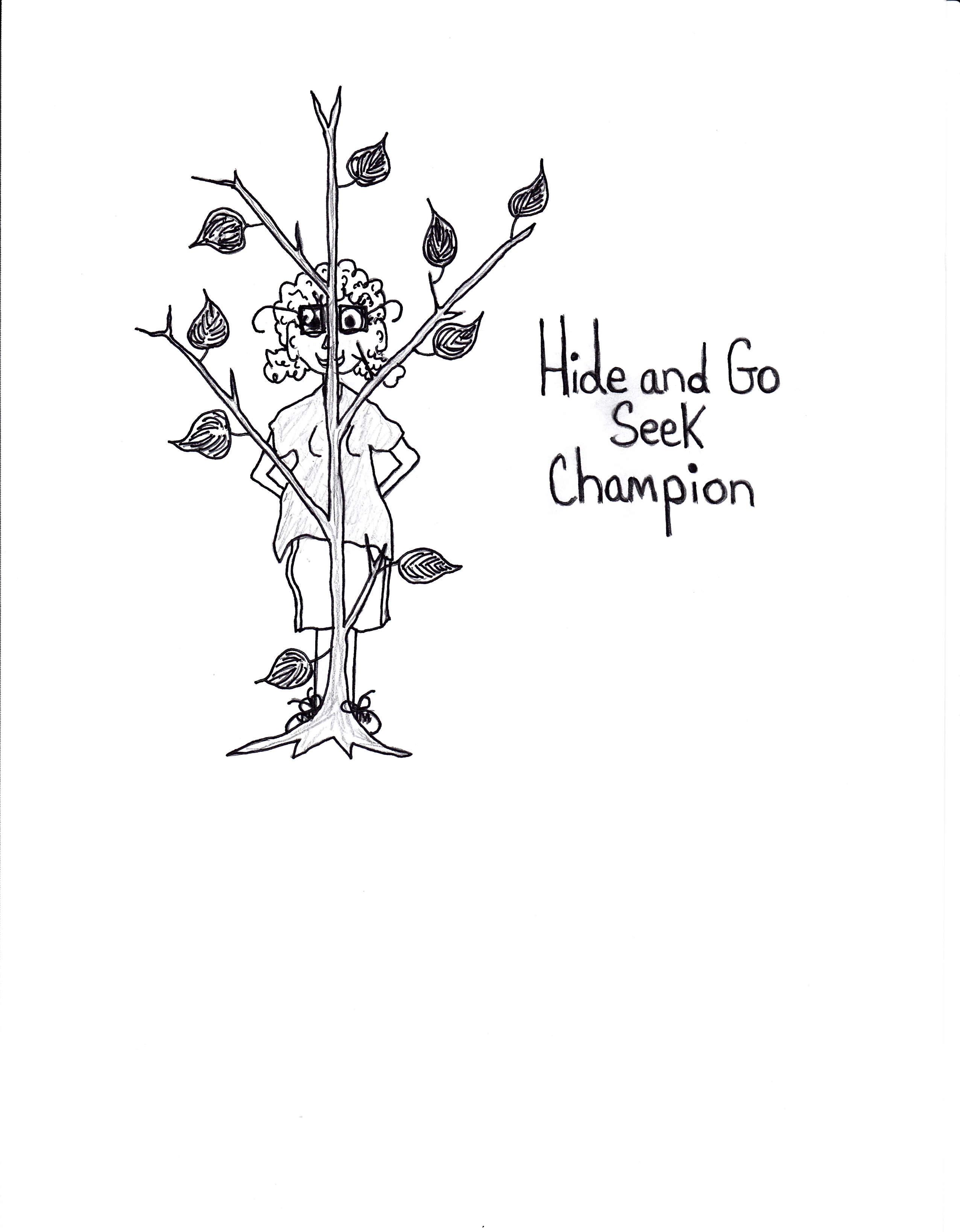 Hide And Go Seek Champion