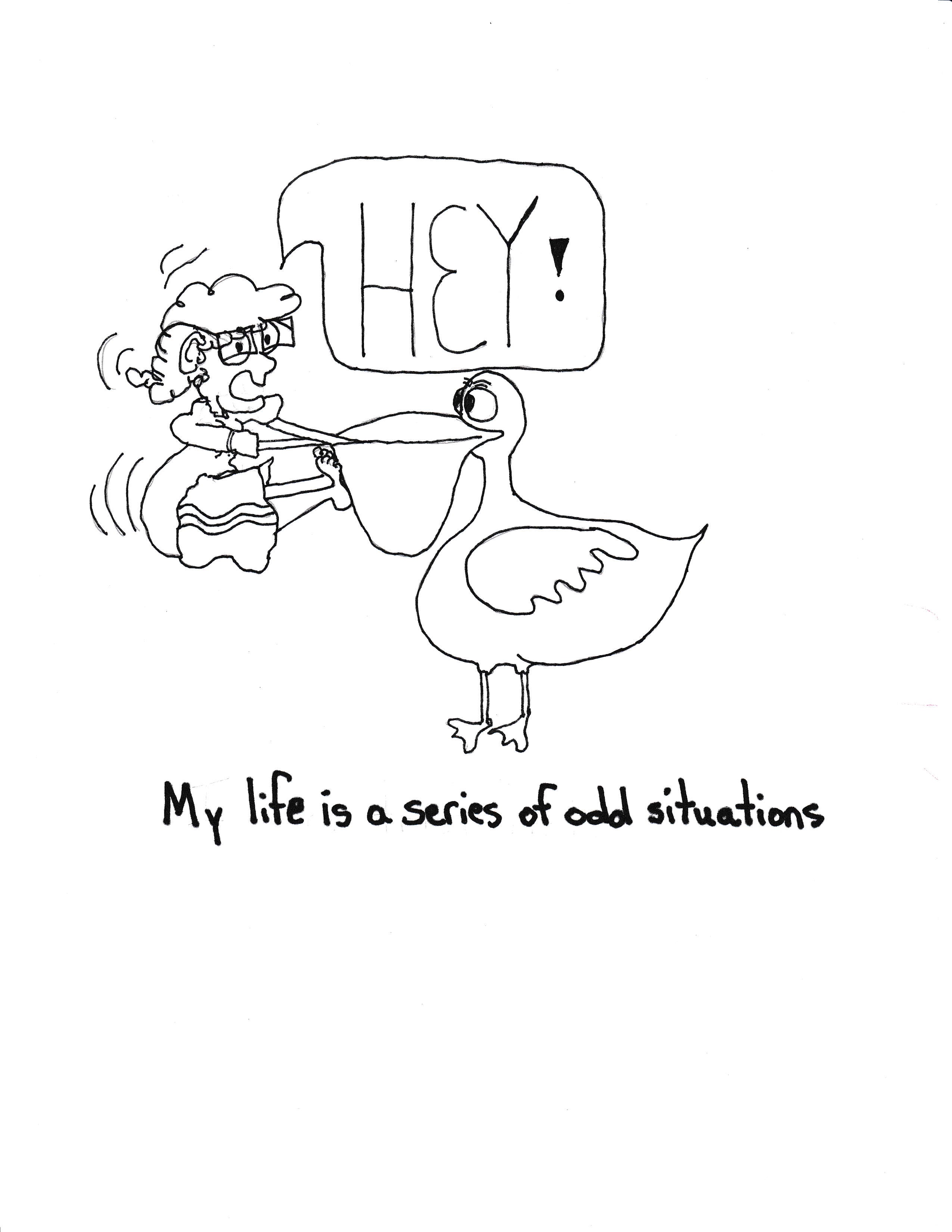 My Life Is A Series Of Odd Situations