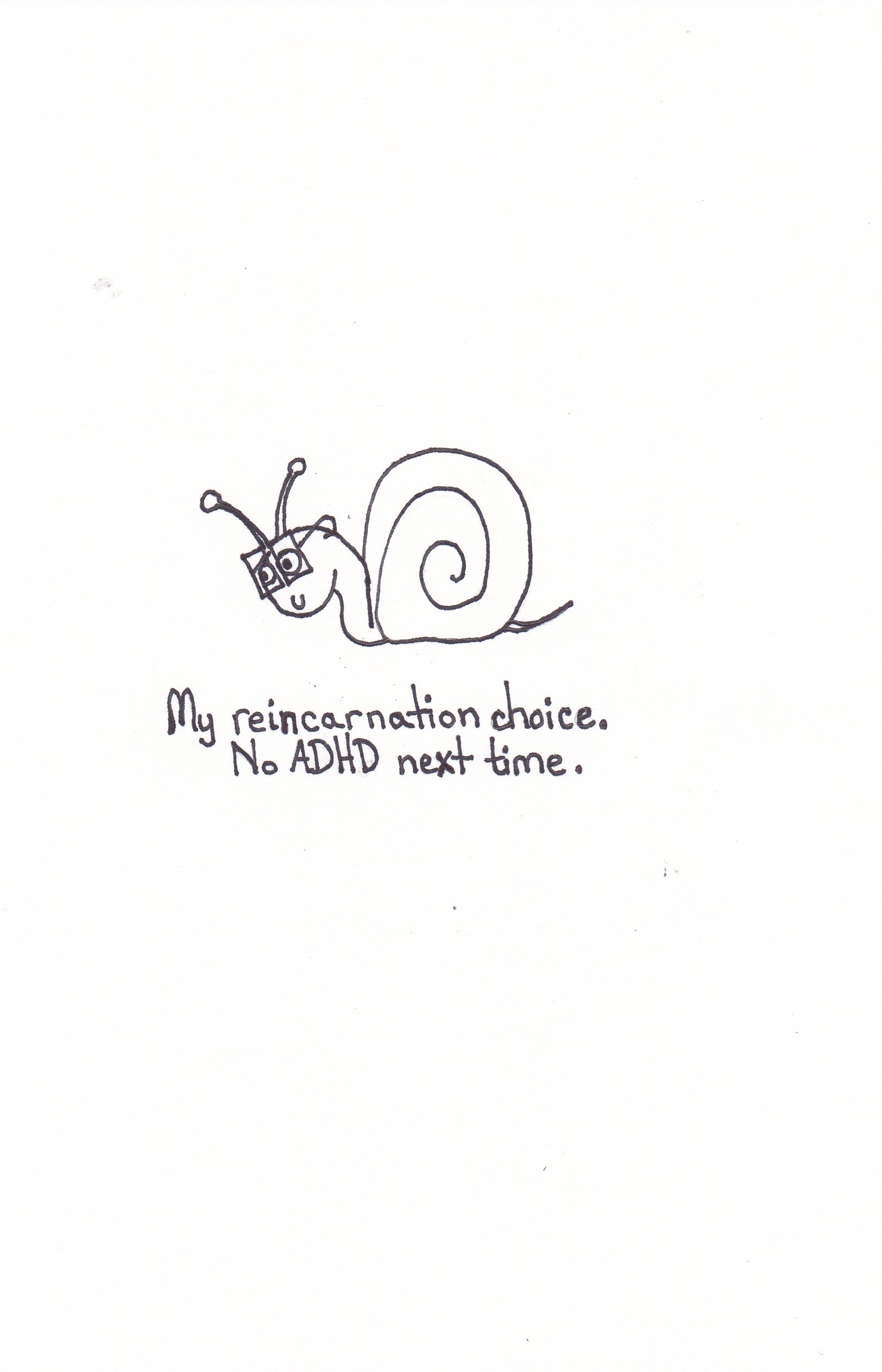 My Reincarnation Choice