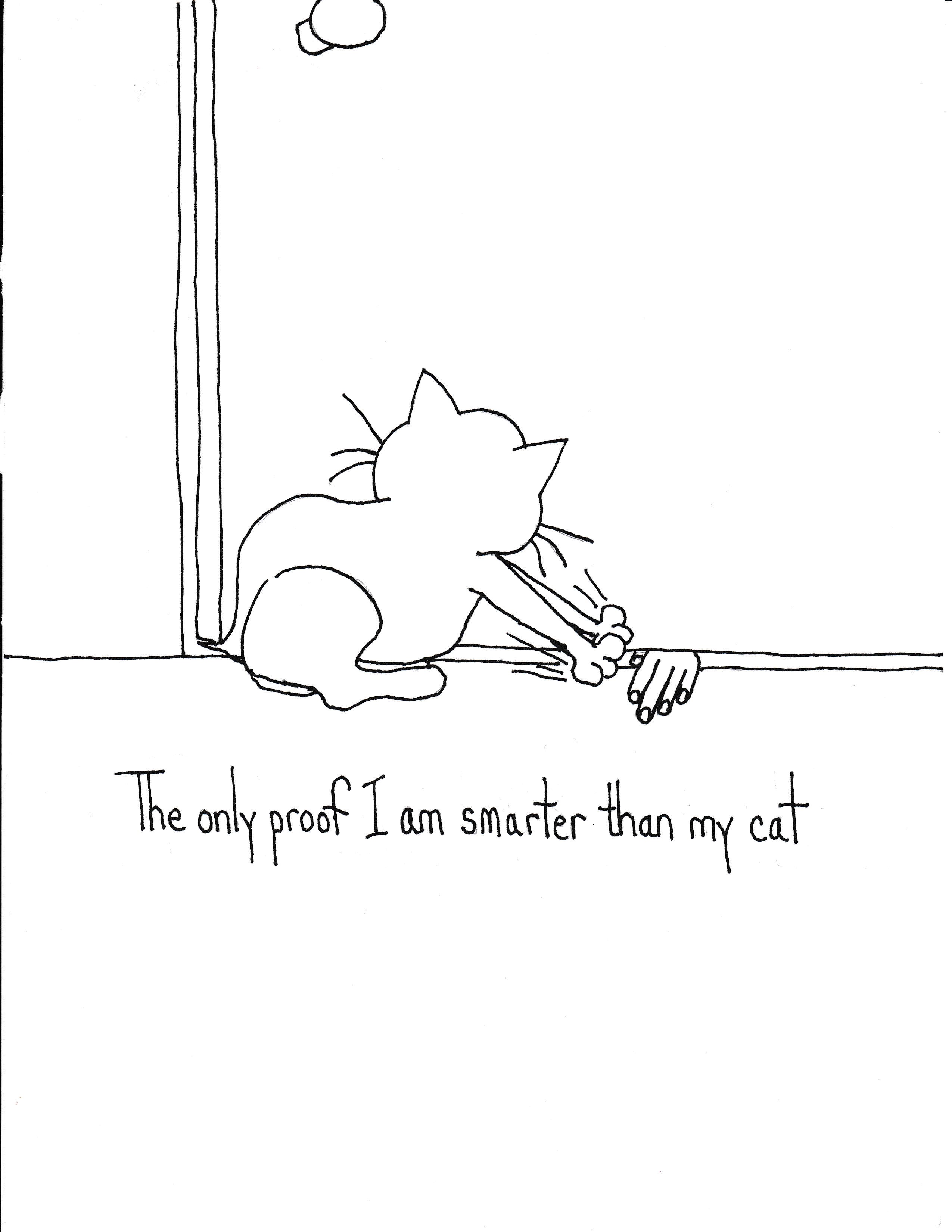 The Only Proof I Am Smarter Than My Cat