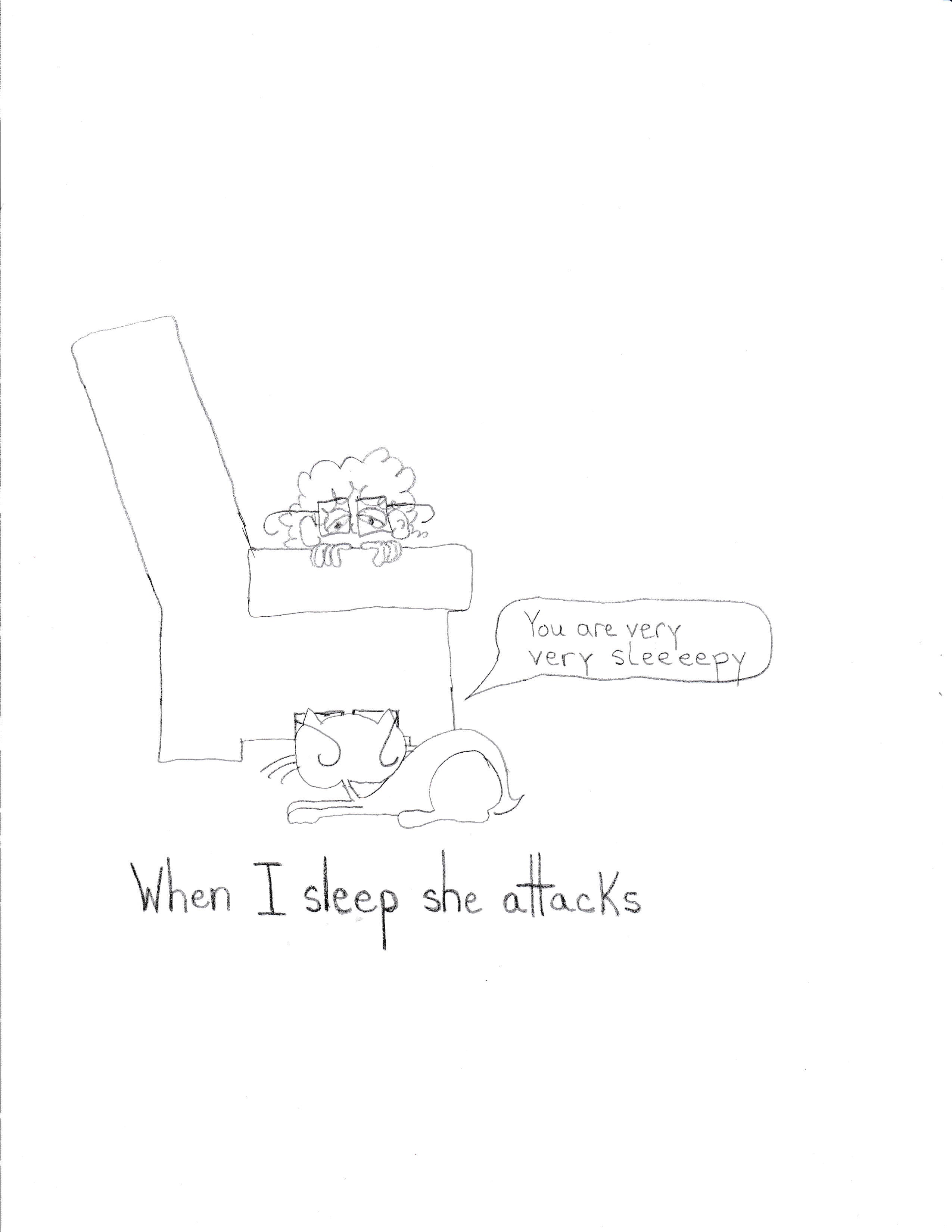 When I Sleep She Attacks