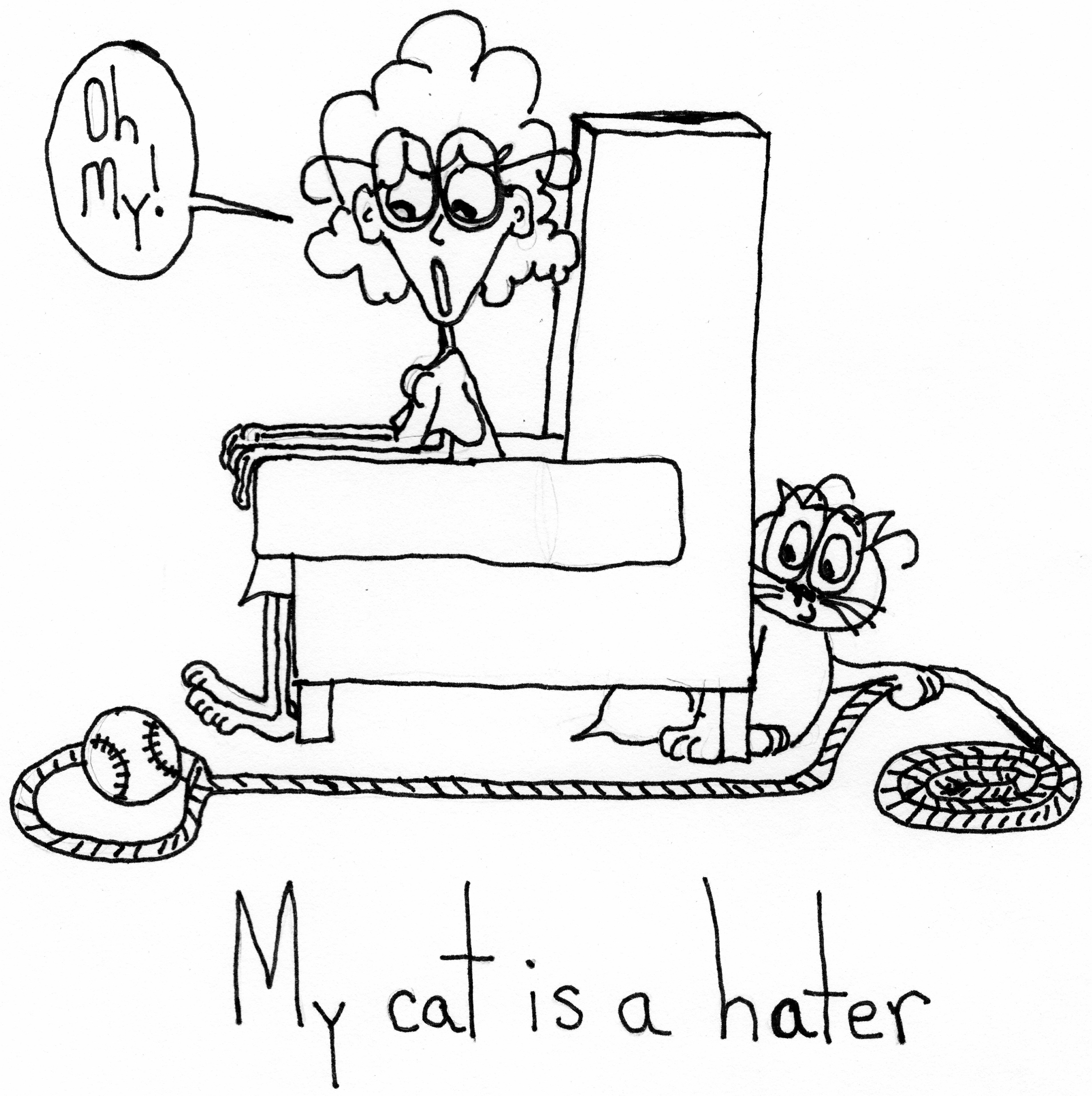 Cat Is A Hater