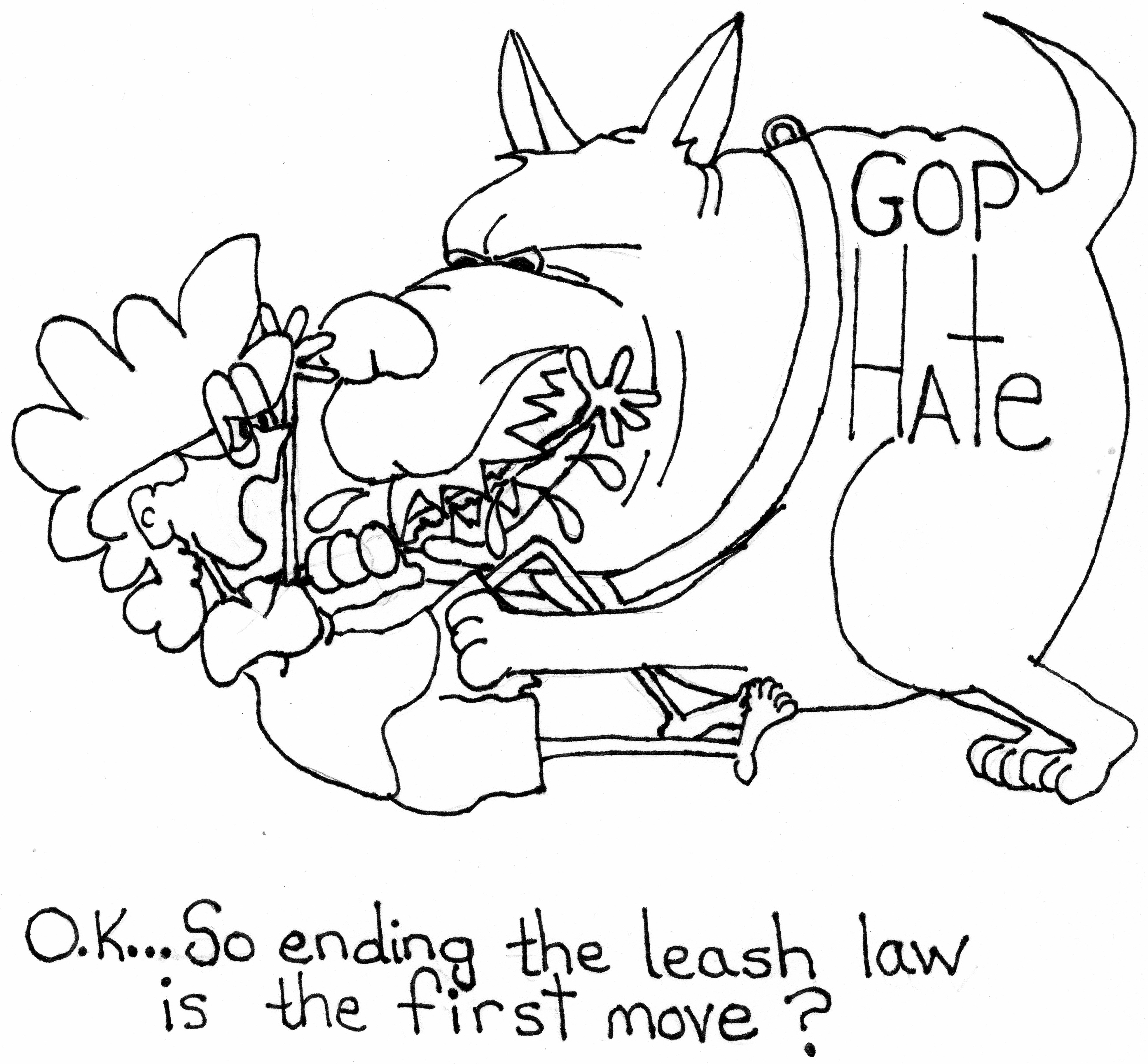 Leash Law