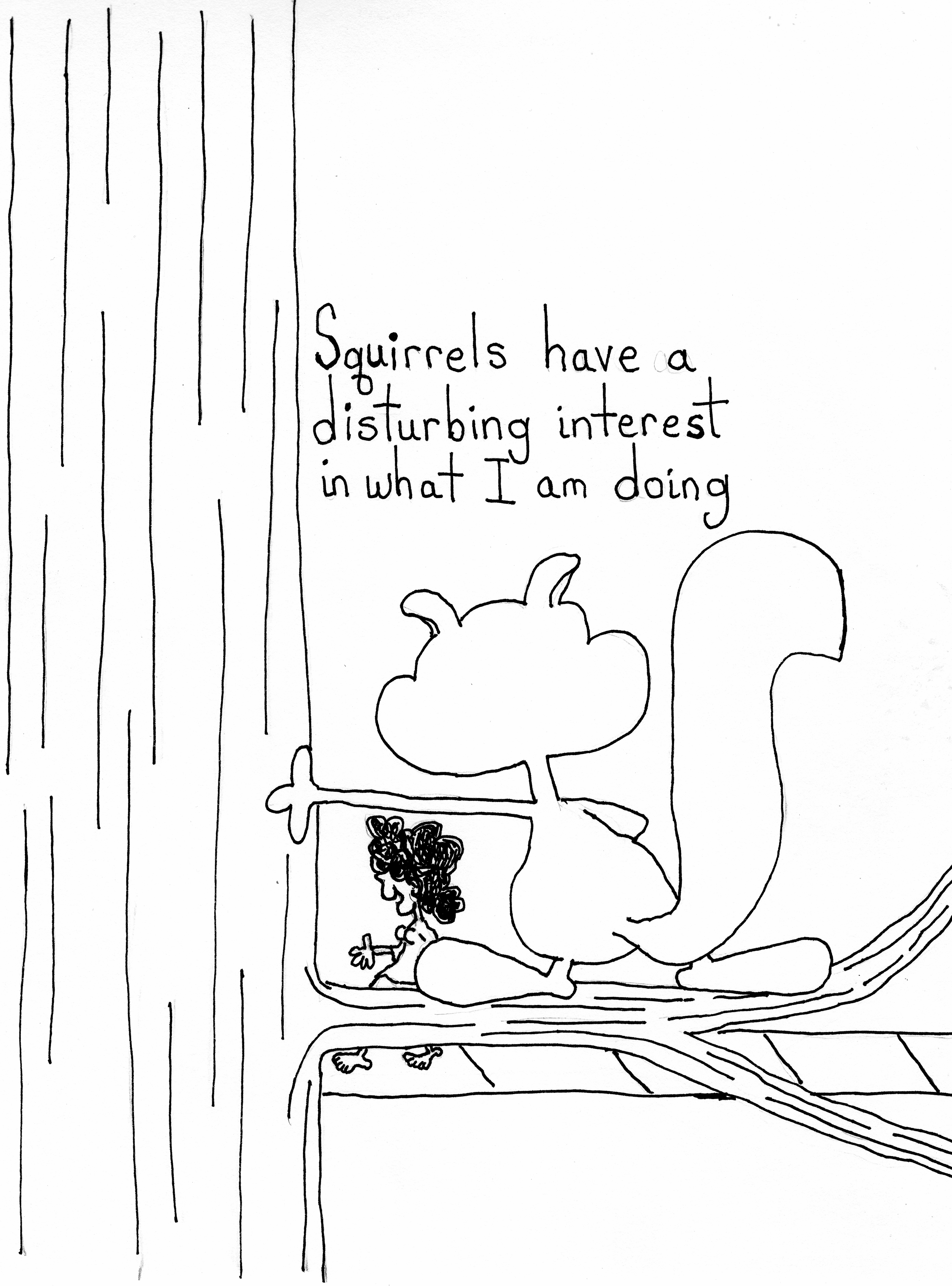 Squirrels2