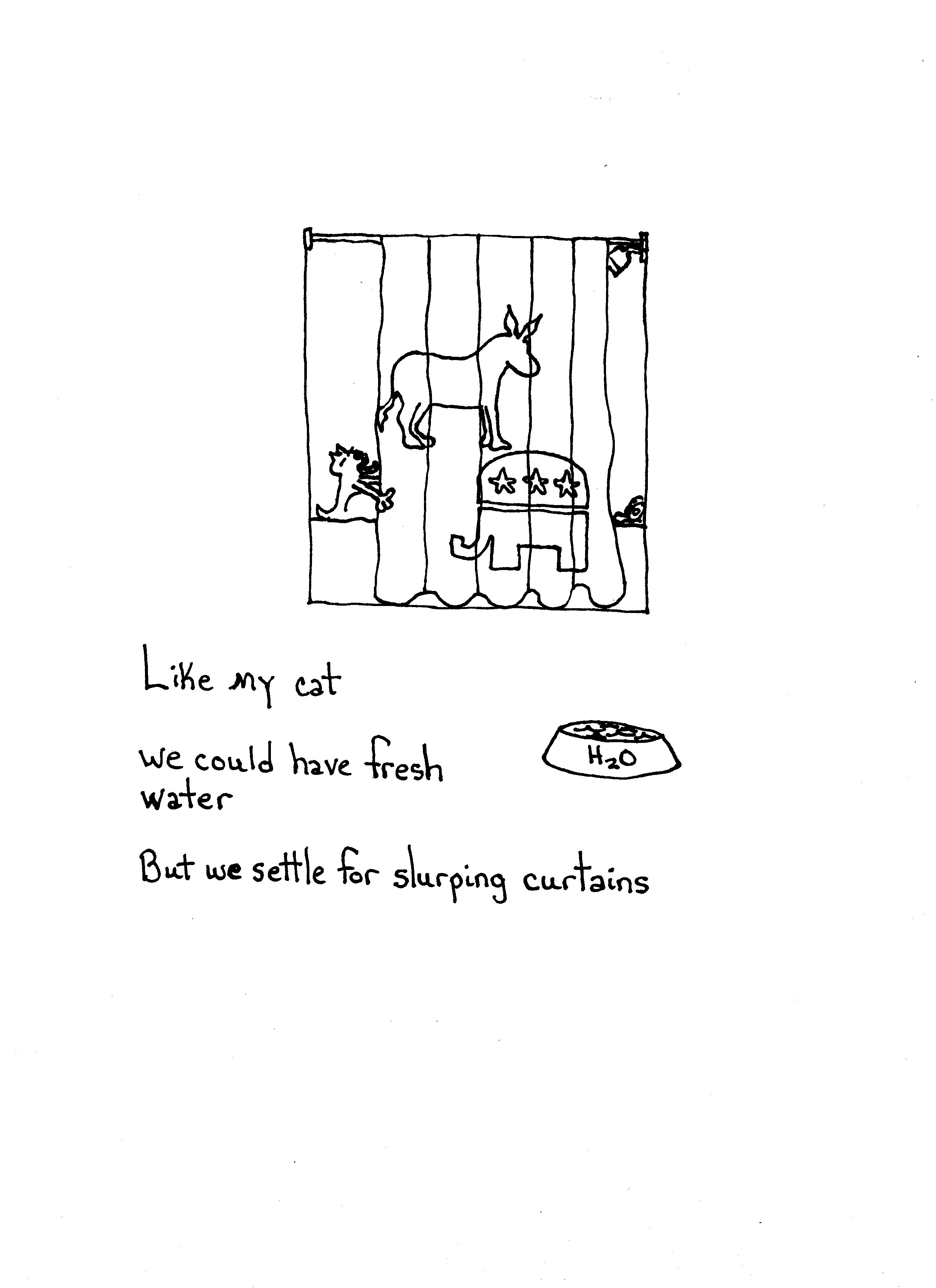 The Shower Curtain