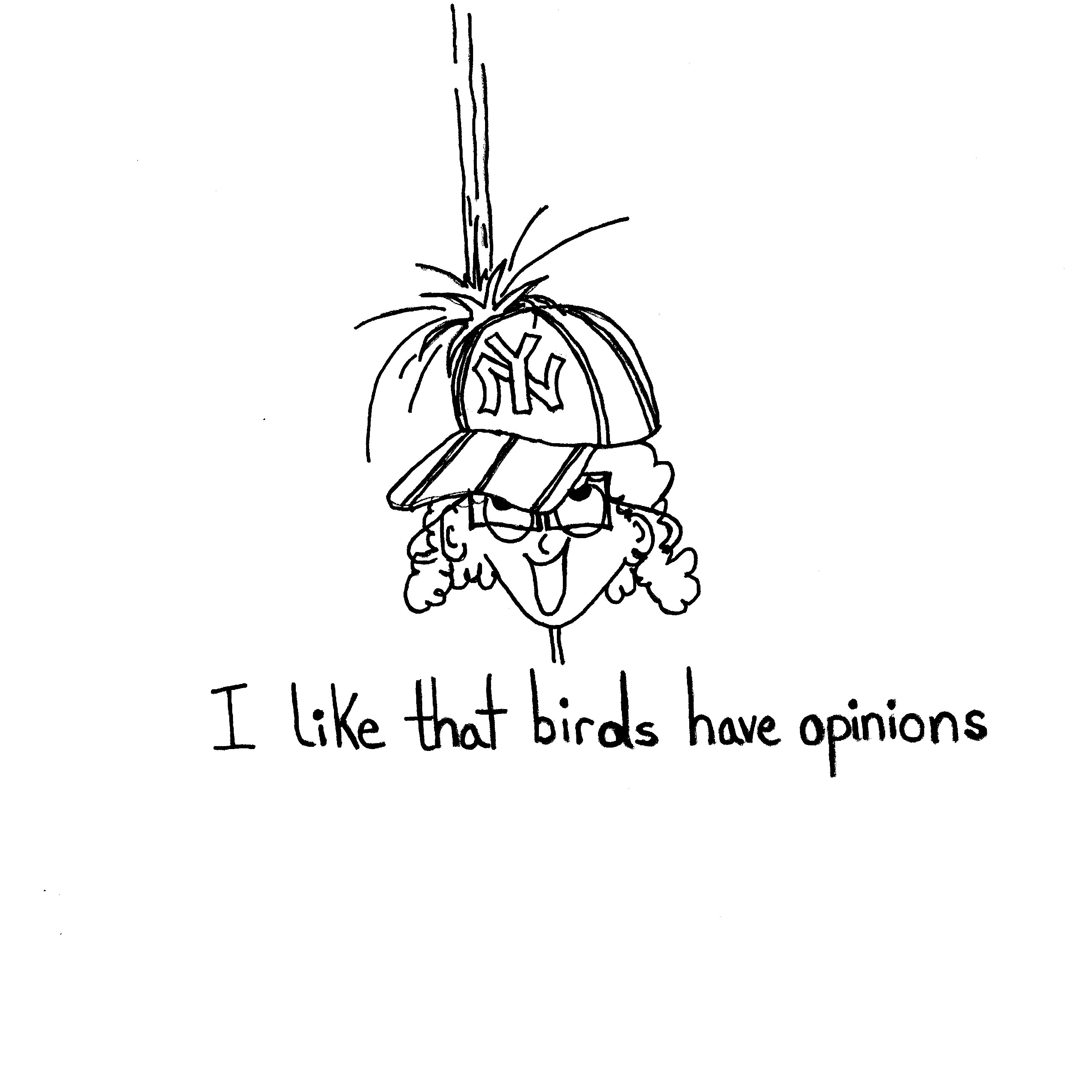 Bird Opinions
