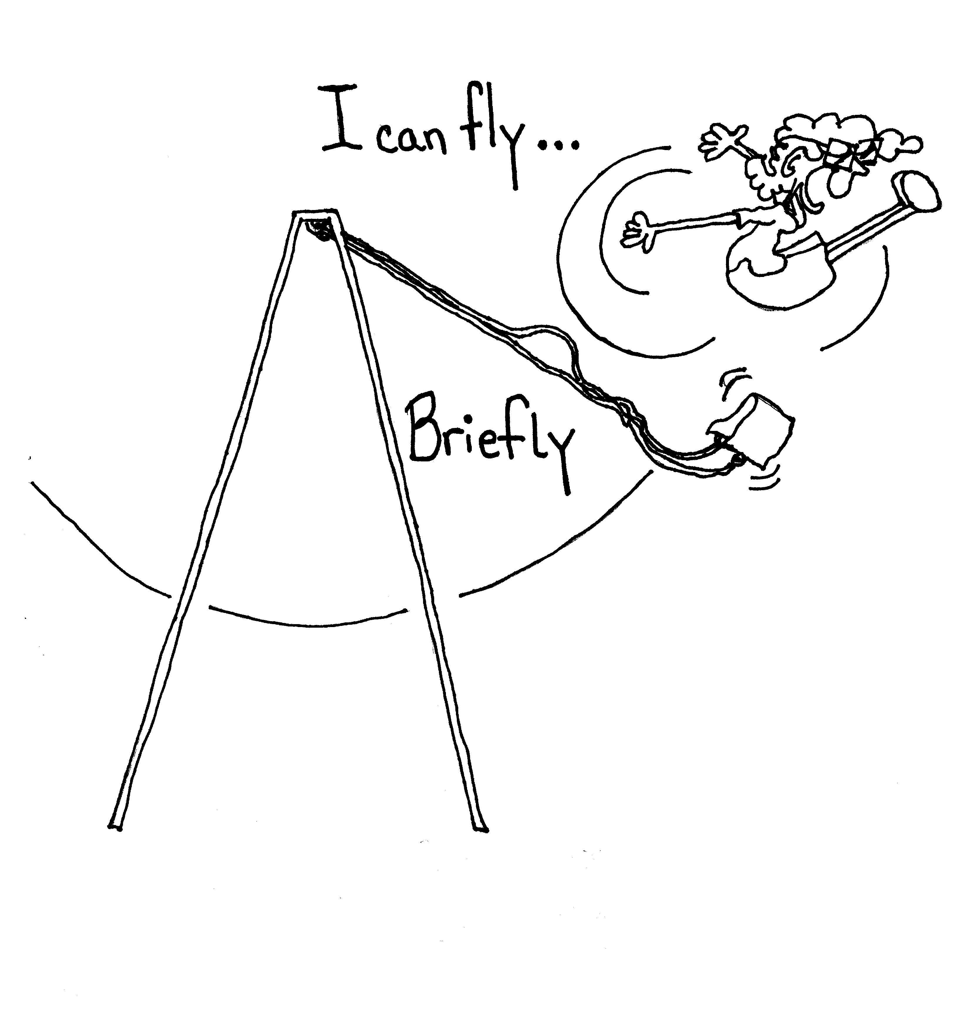 Fly Briefly