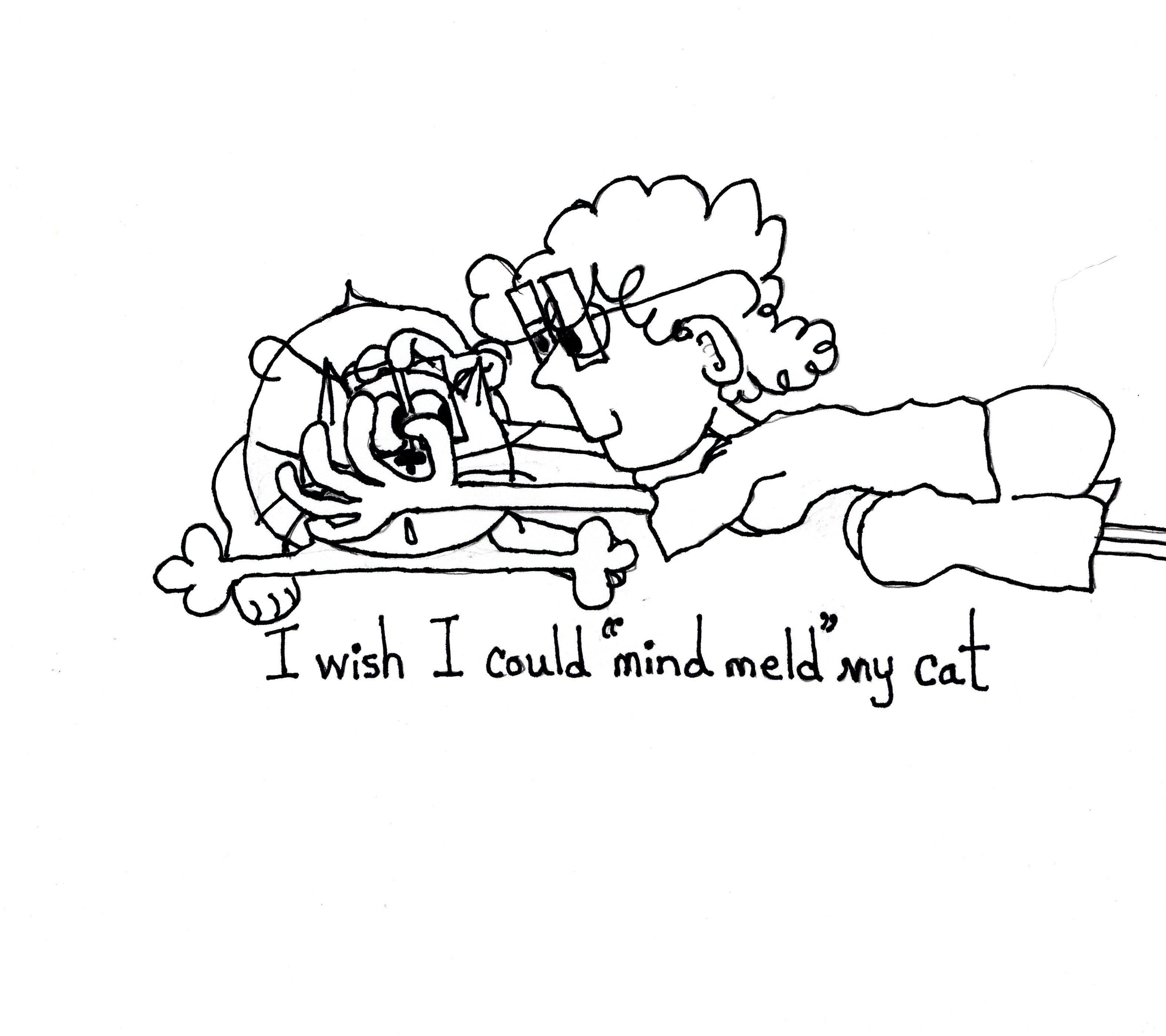 Mind Meld