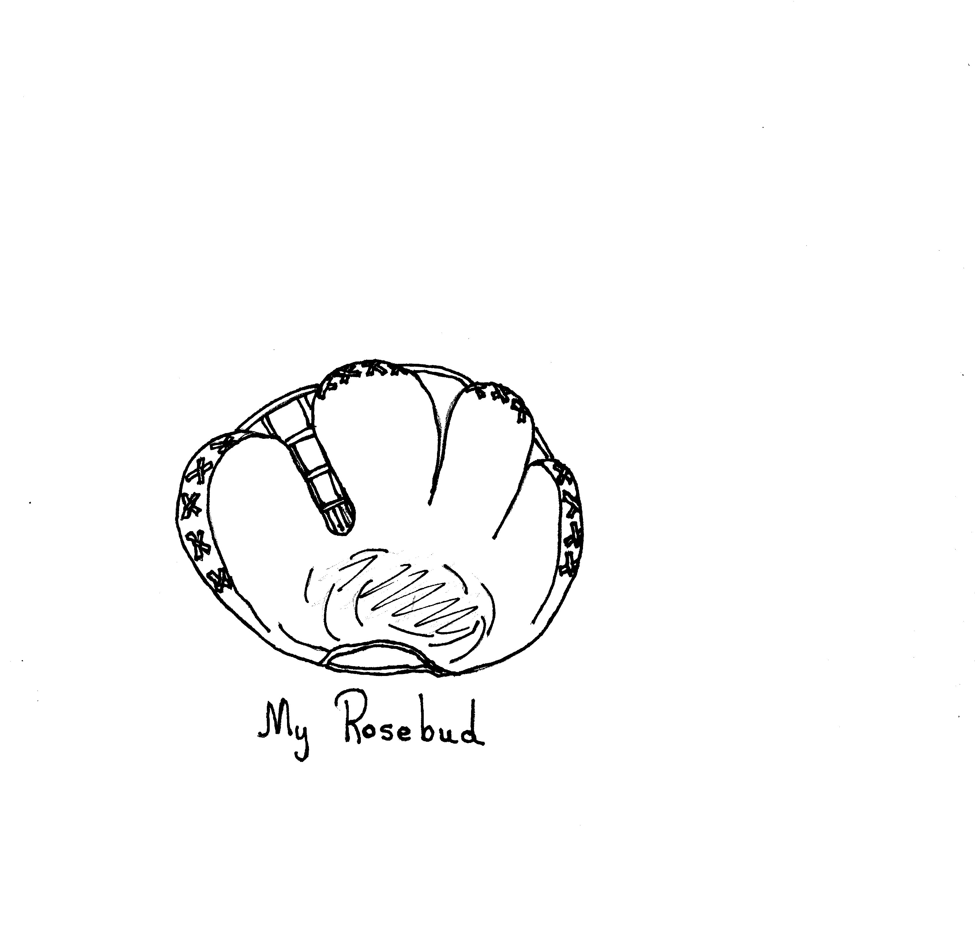 My Rosebud