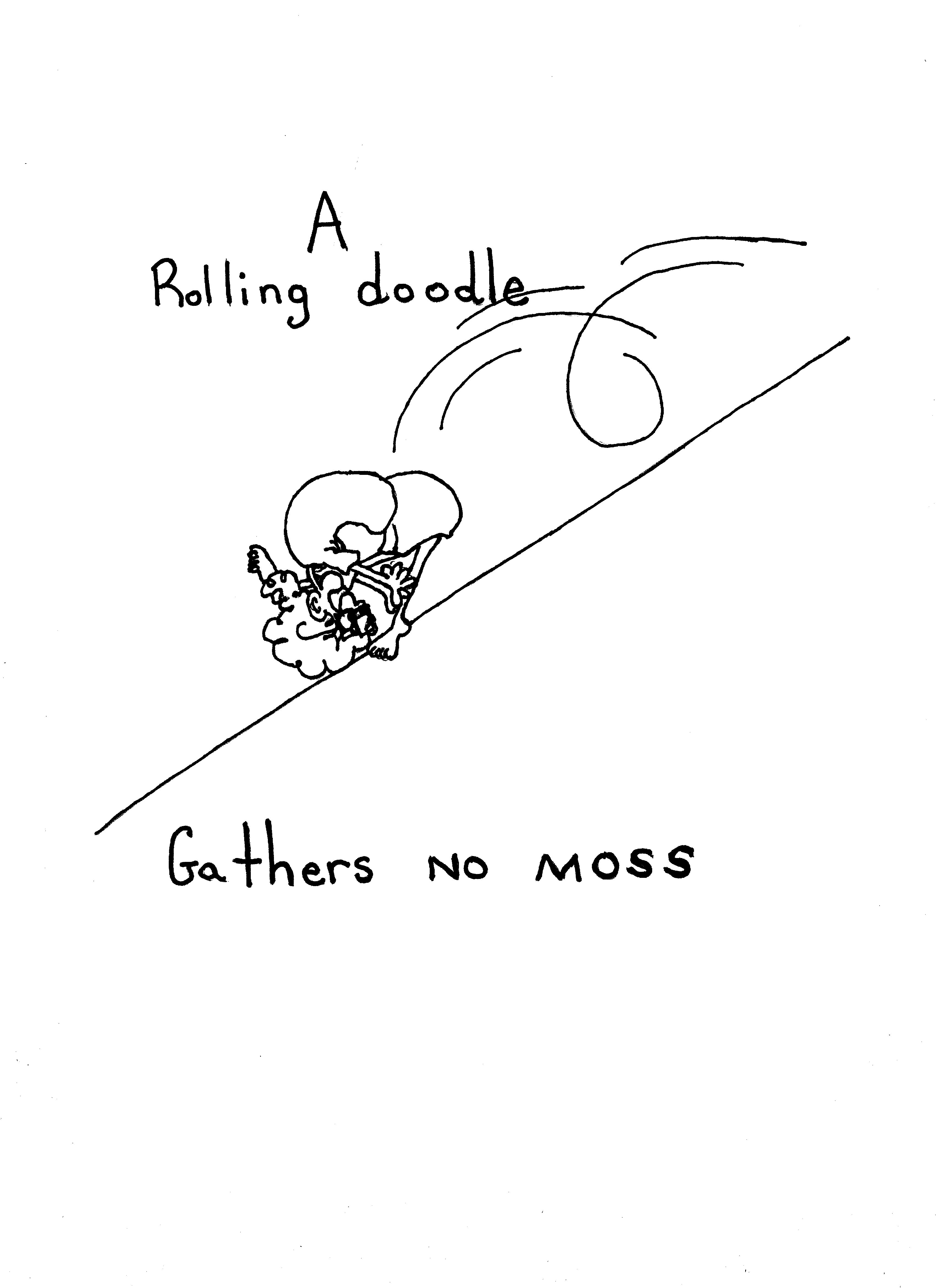 Rolling Doodle