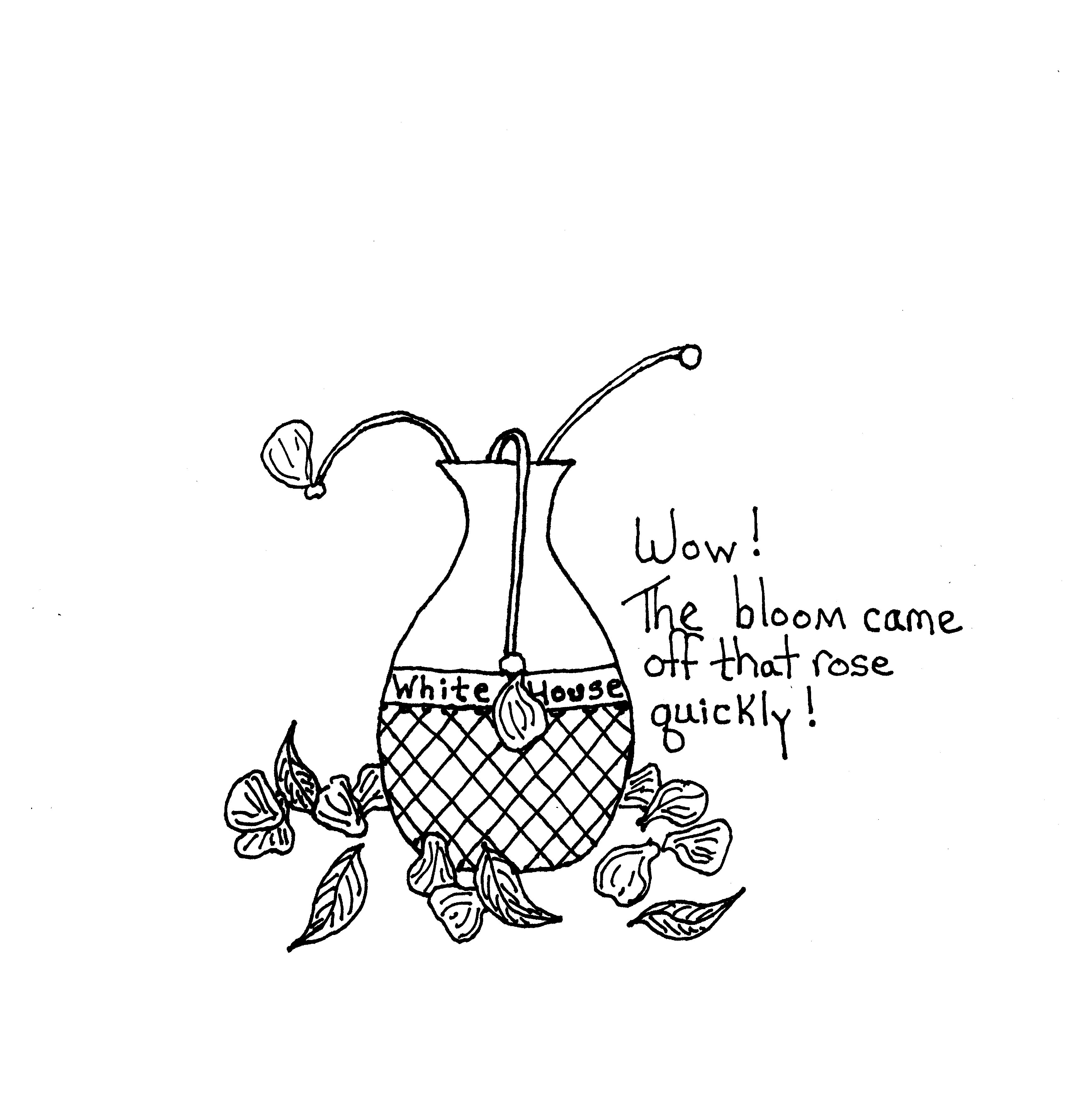 Bloom Off The Rose