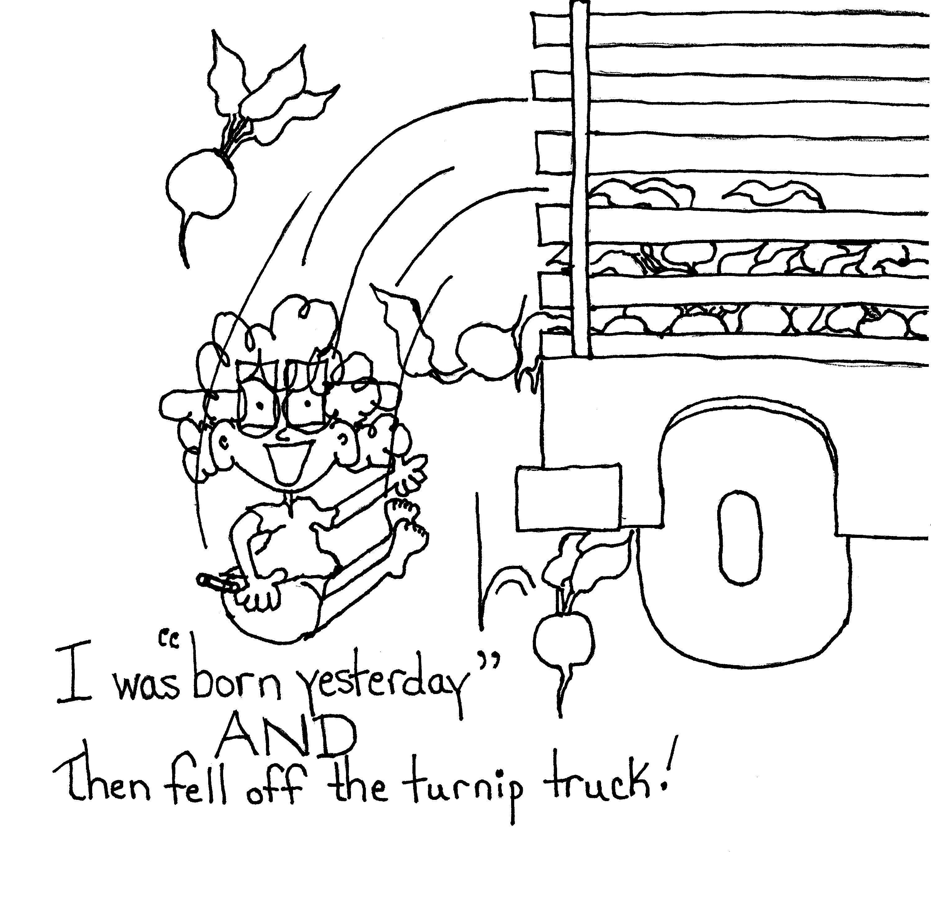 Born Yesterday