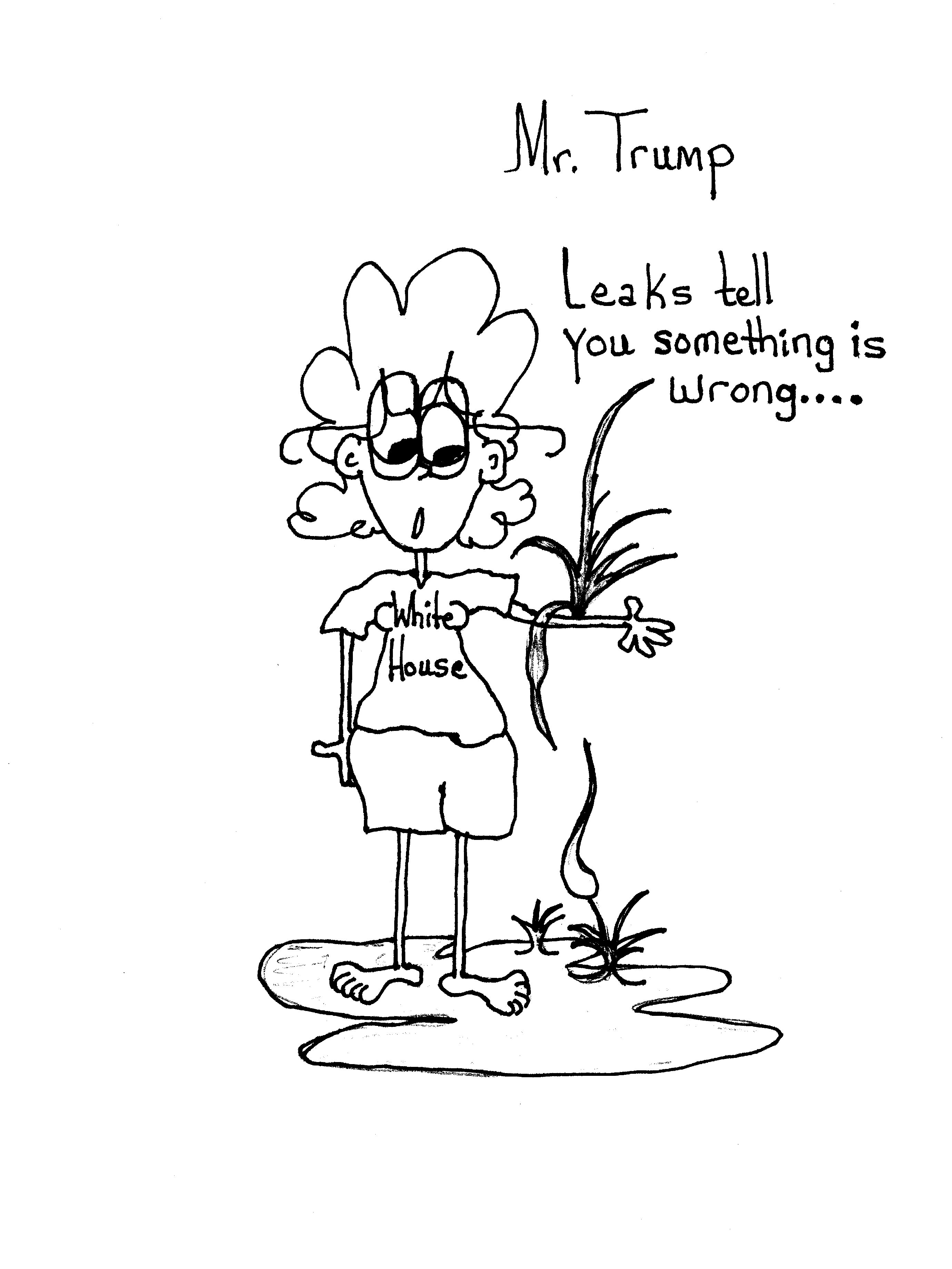 Leaks