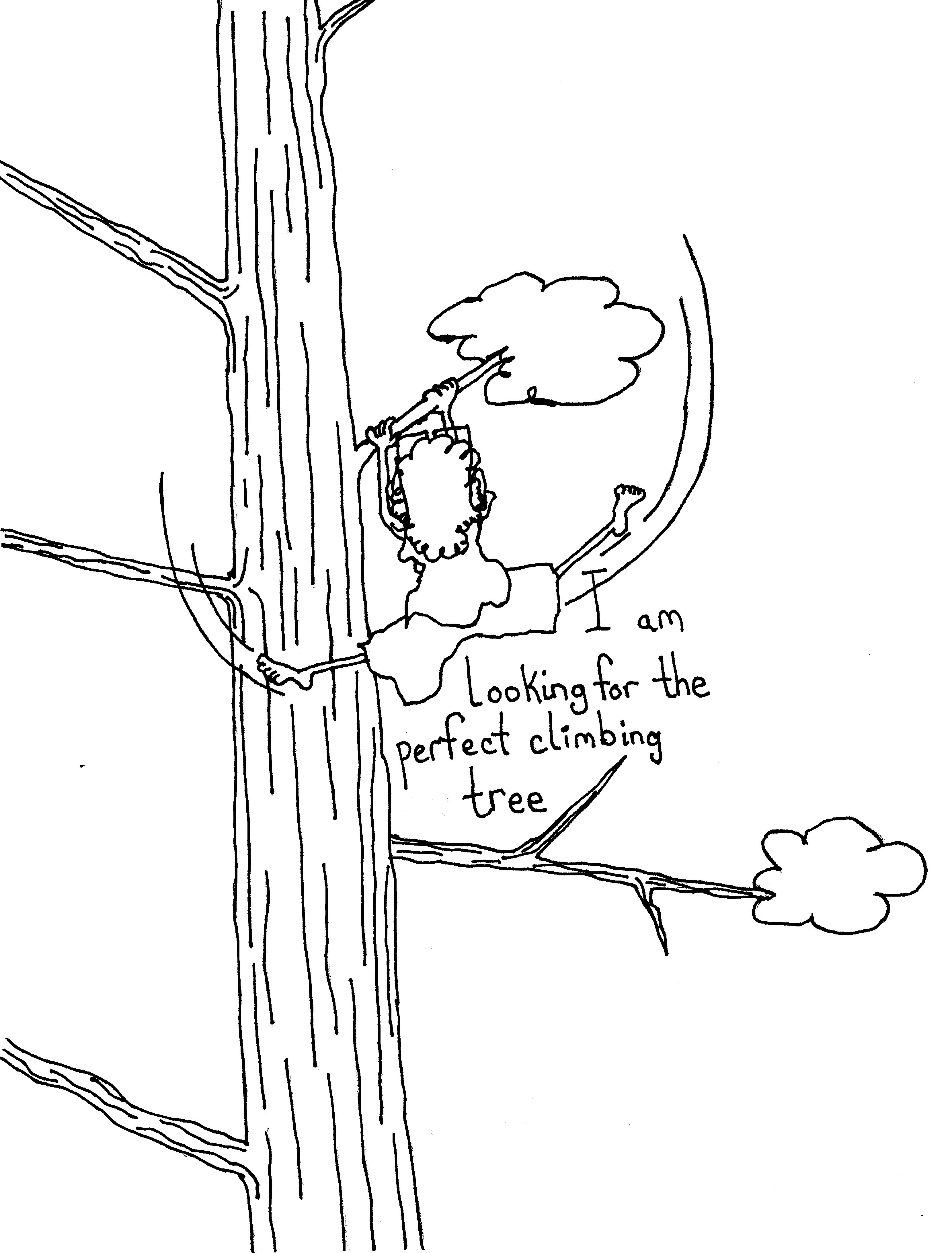 I Need A Perfect Tree