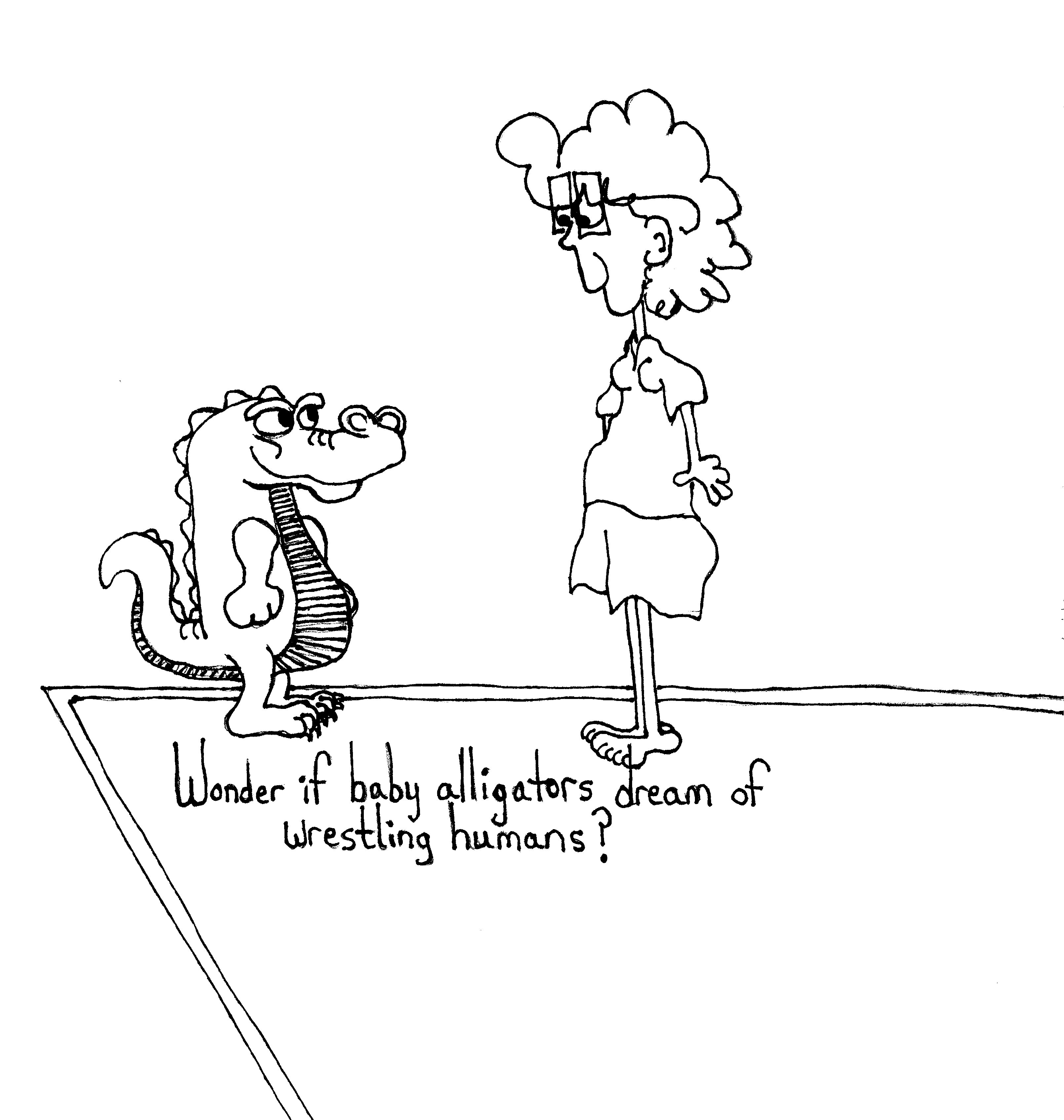Baby Alligators