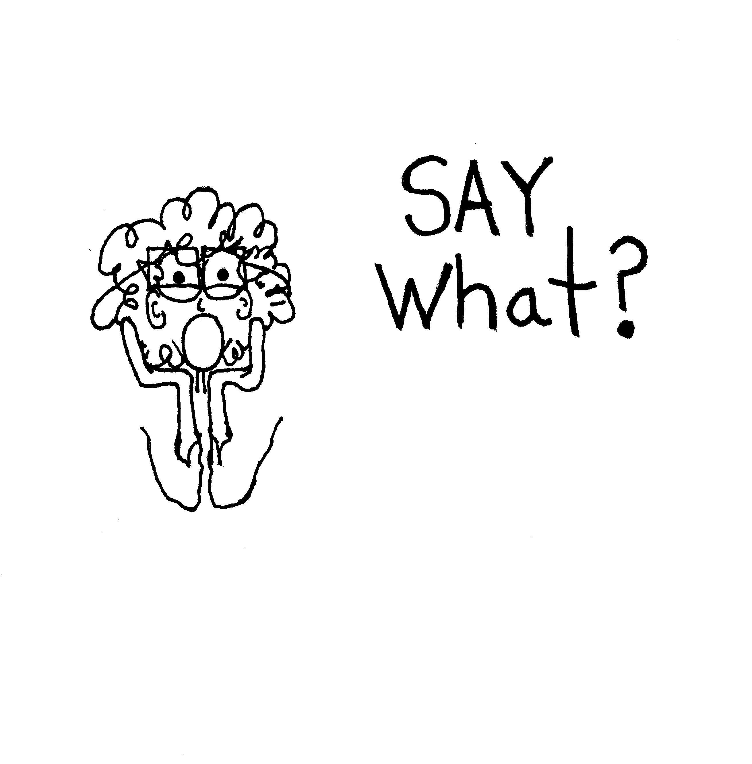 Say What