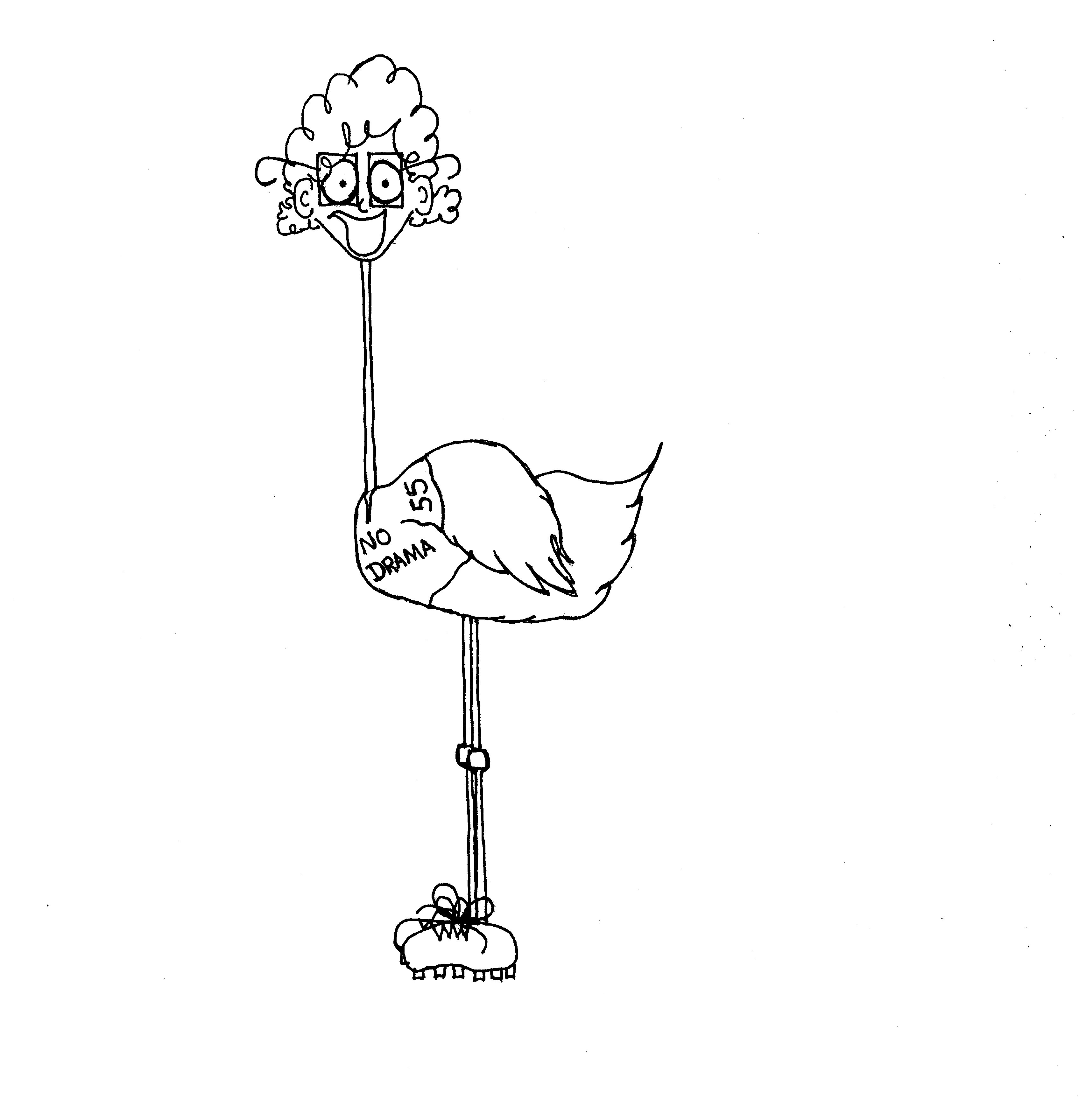 The Bird