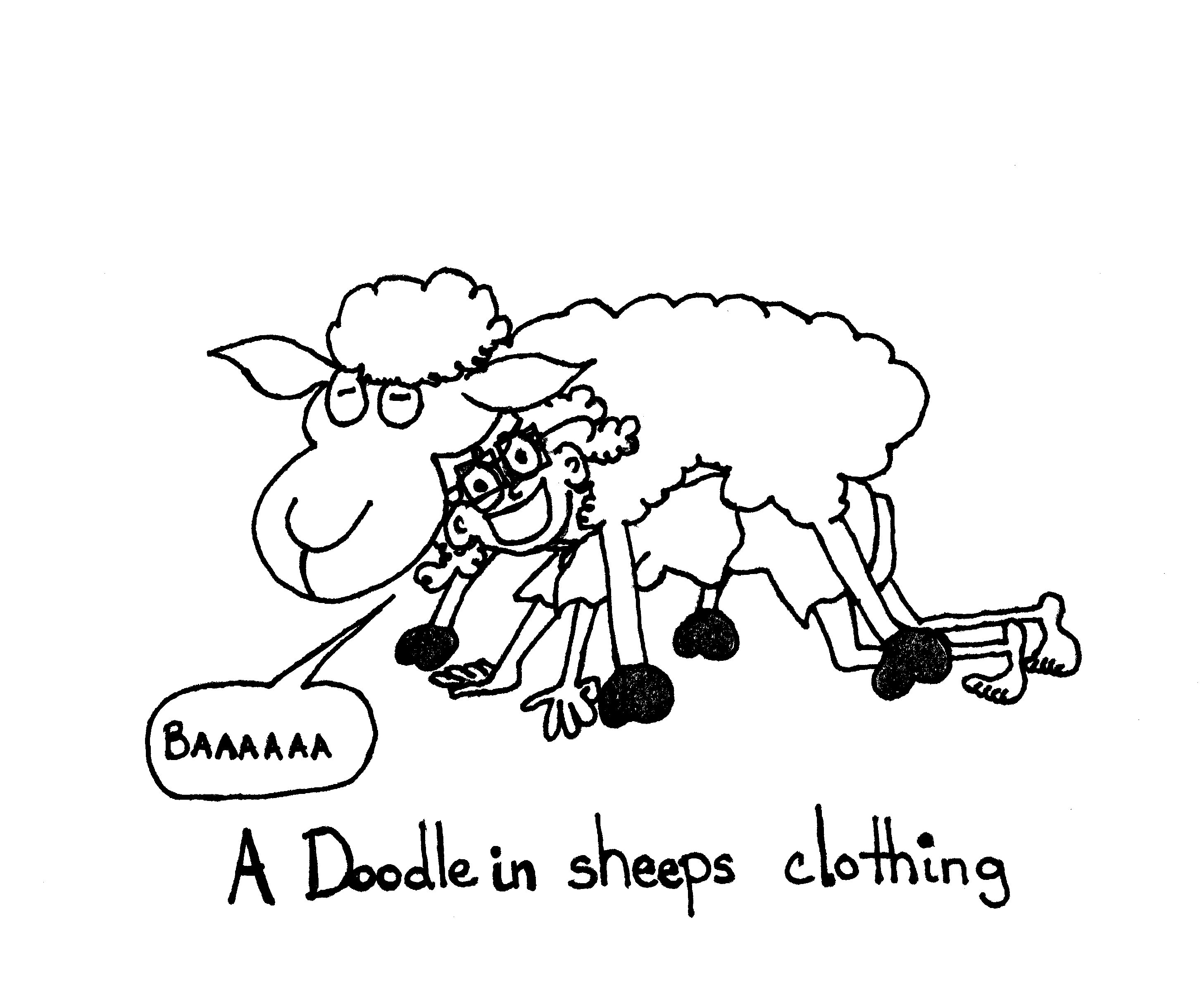 Sheeps Clothing