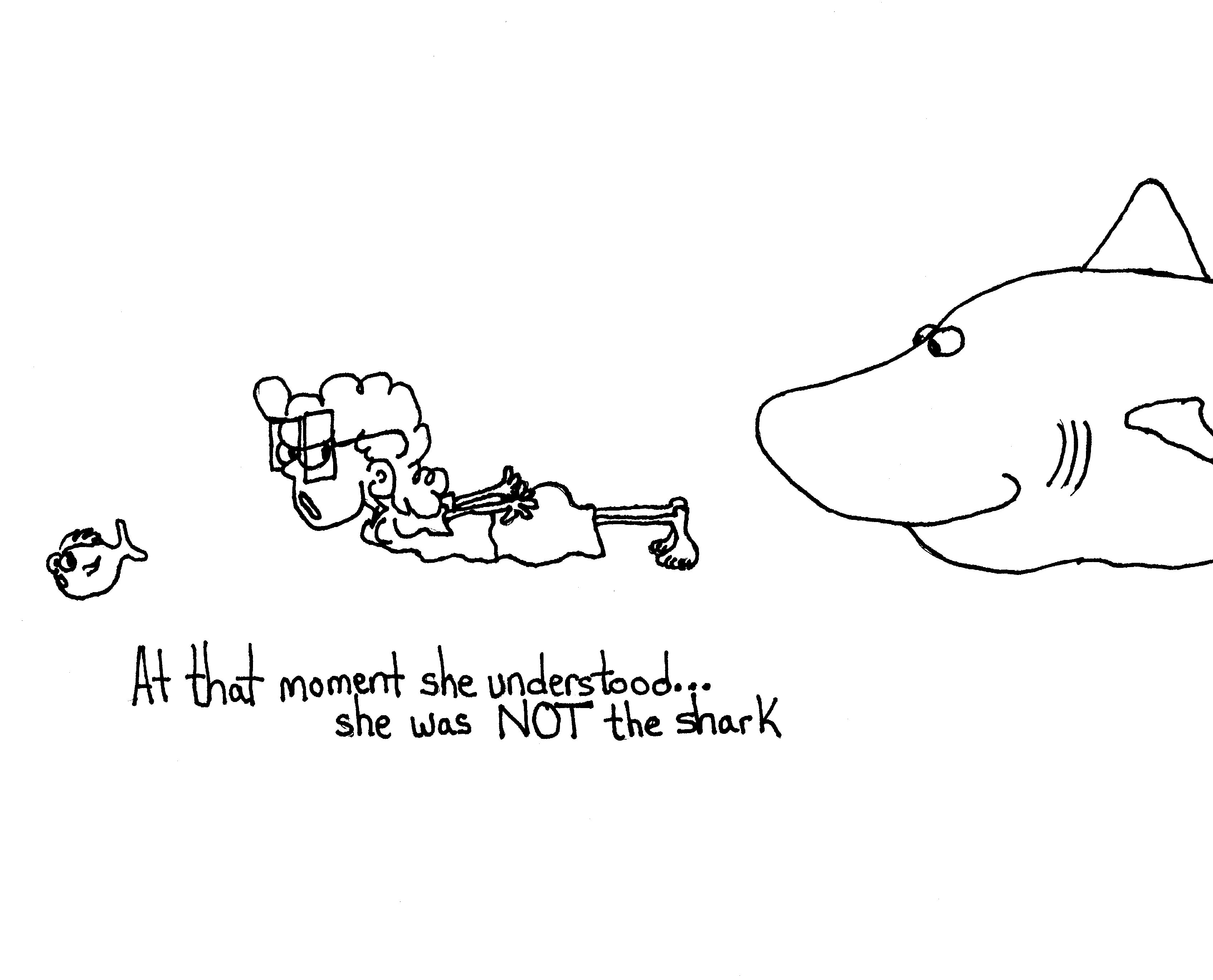 Not The Shark
