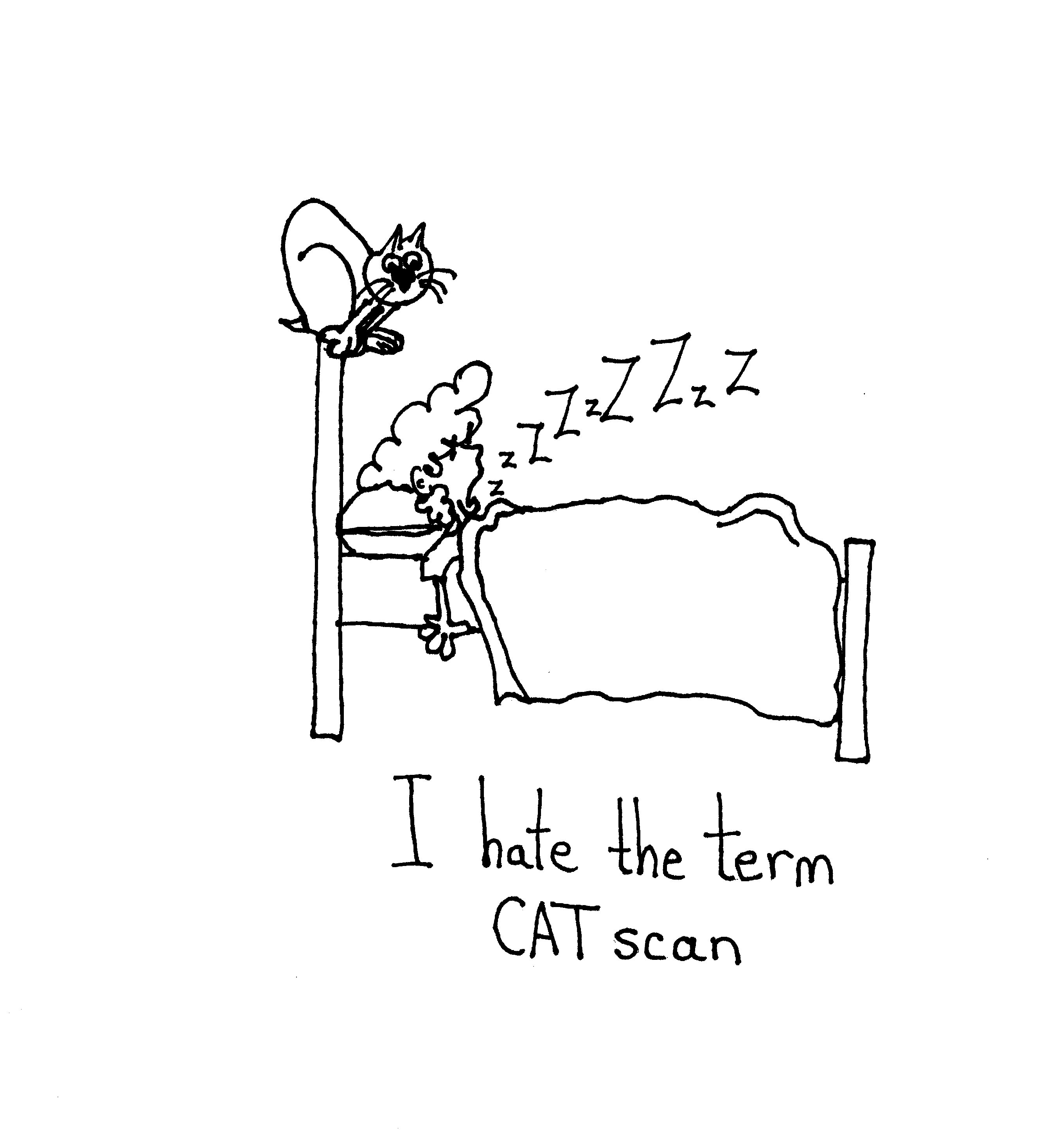 Cat Scan