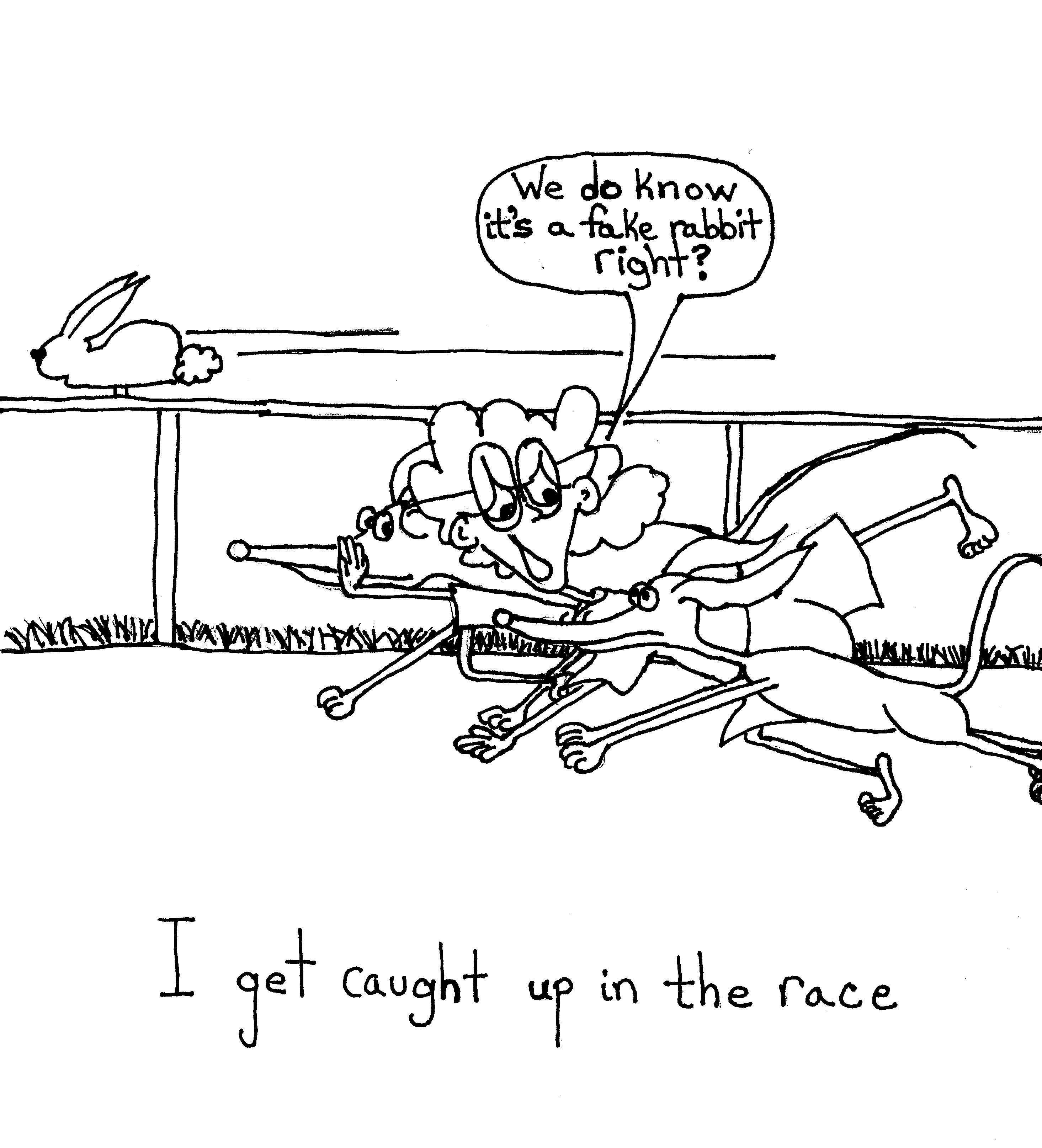 The Race