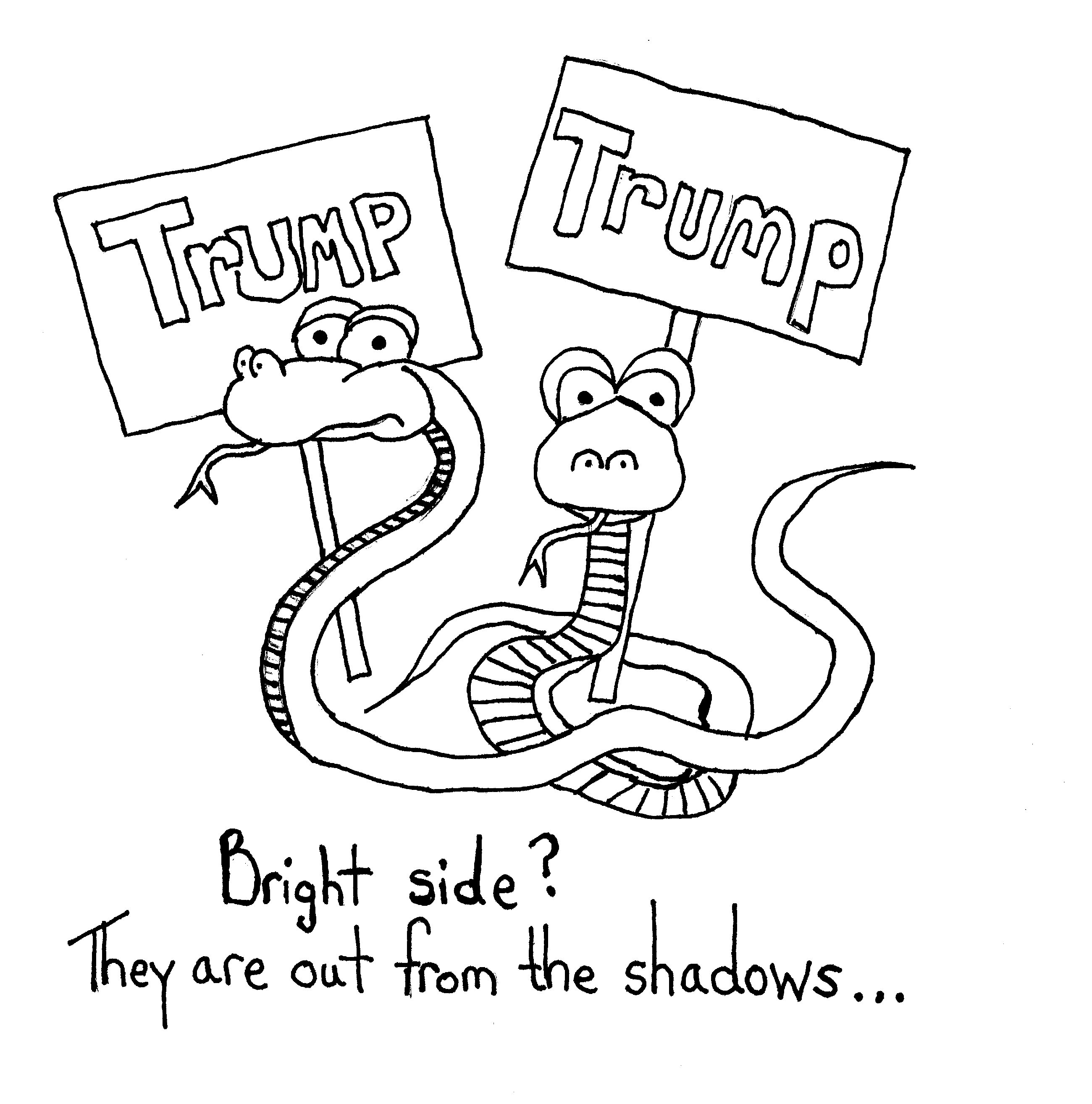 Out Of The Shadows