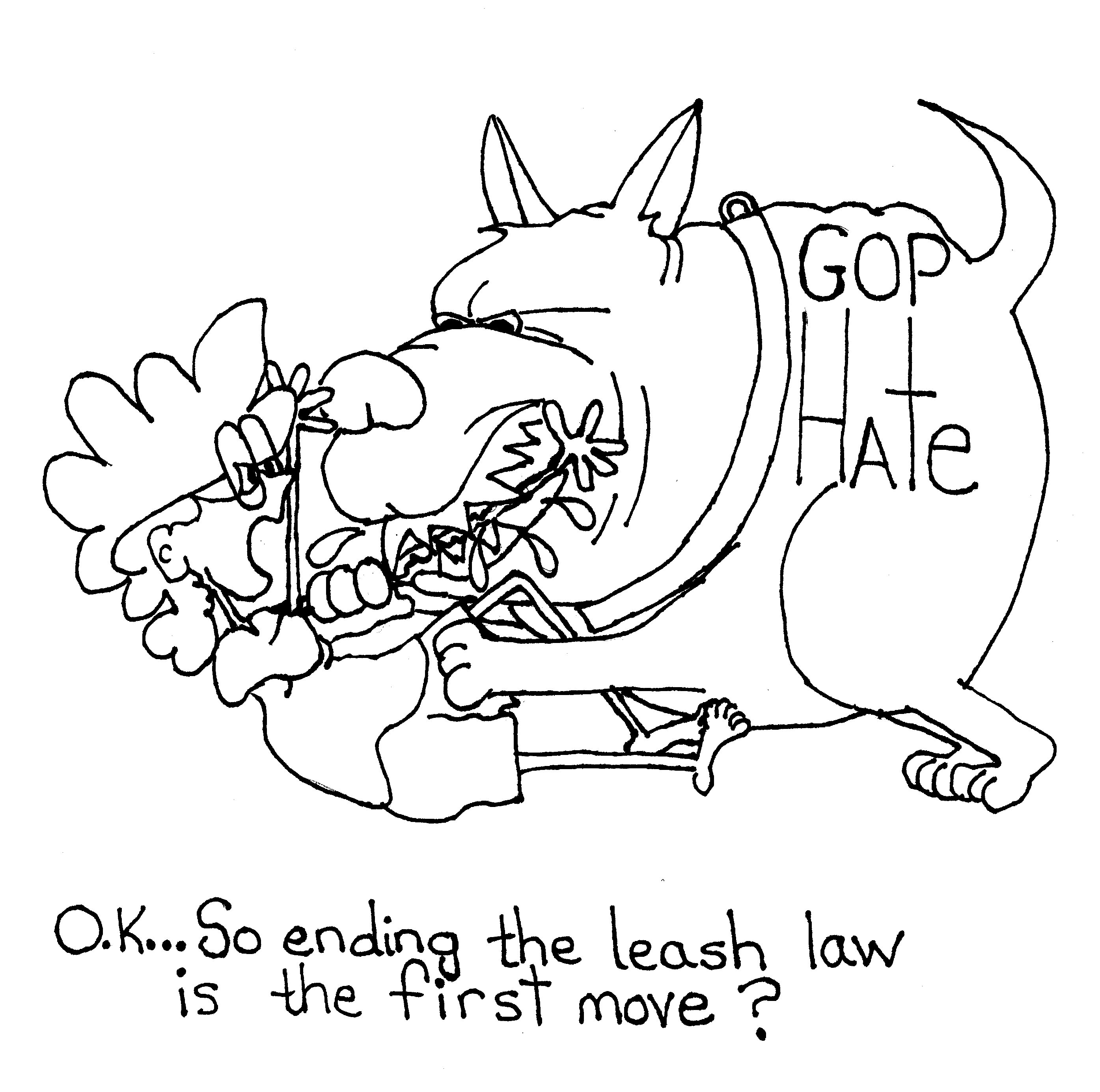 Leash Law