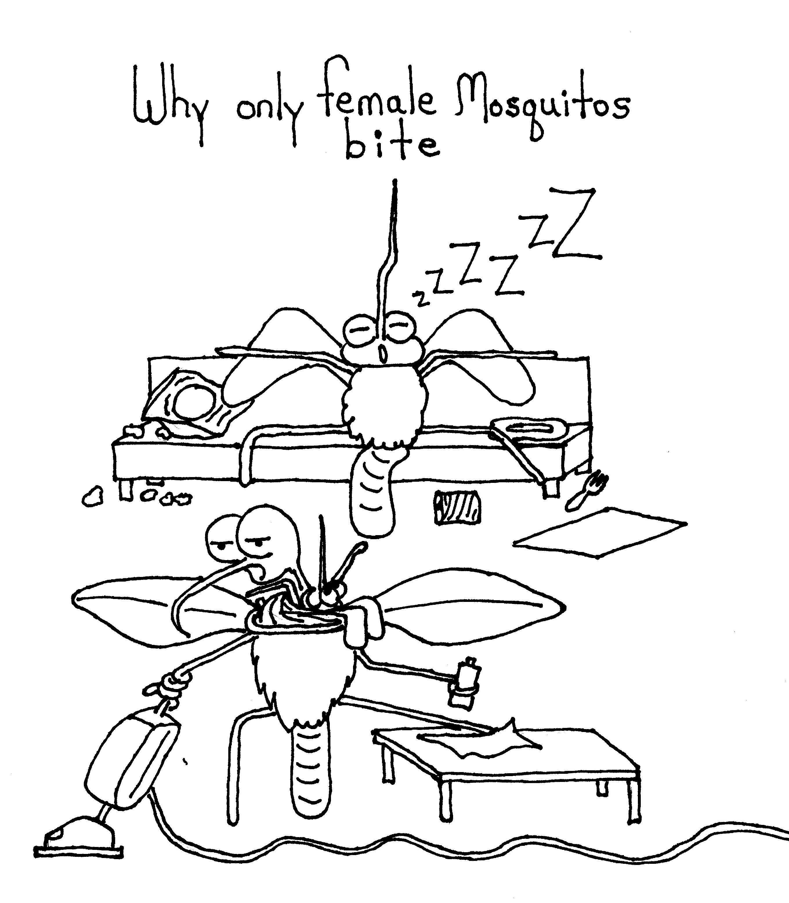 Only Females