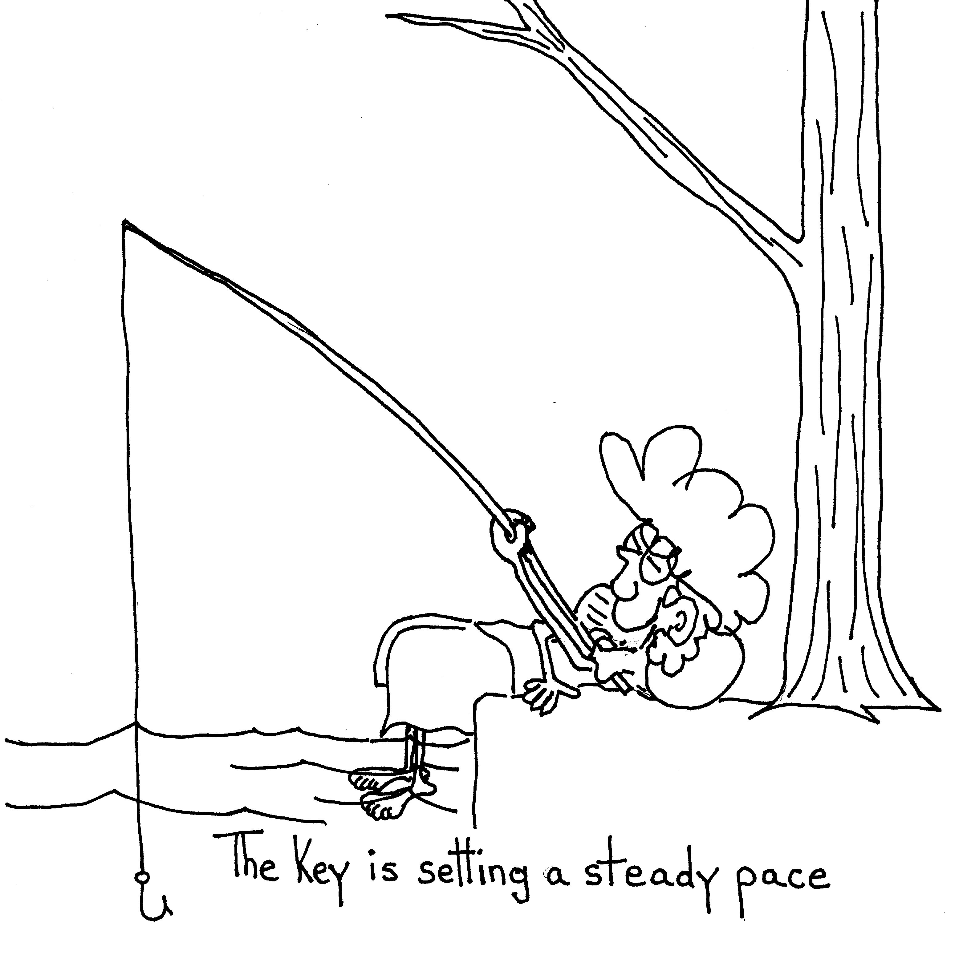 Steady Pace