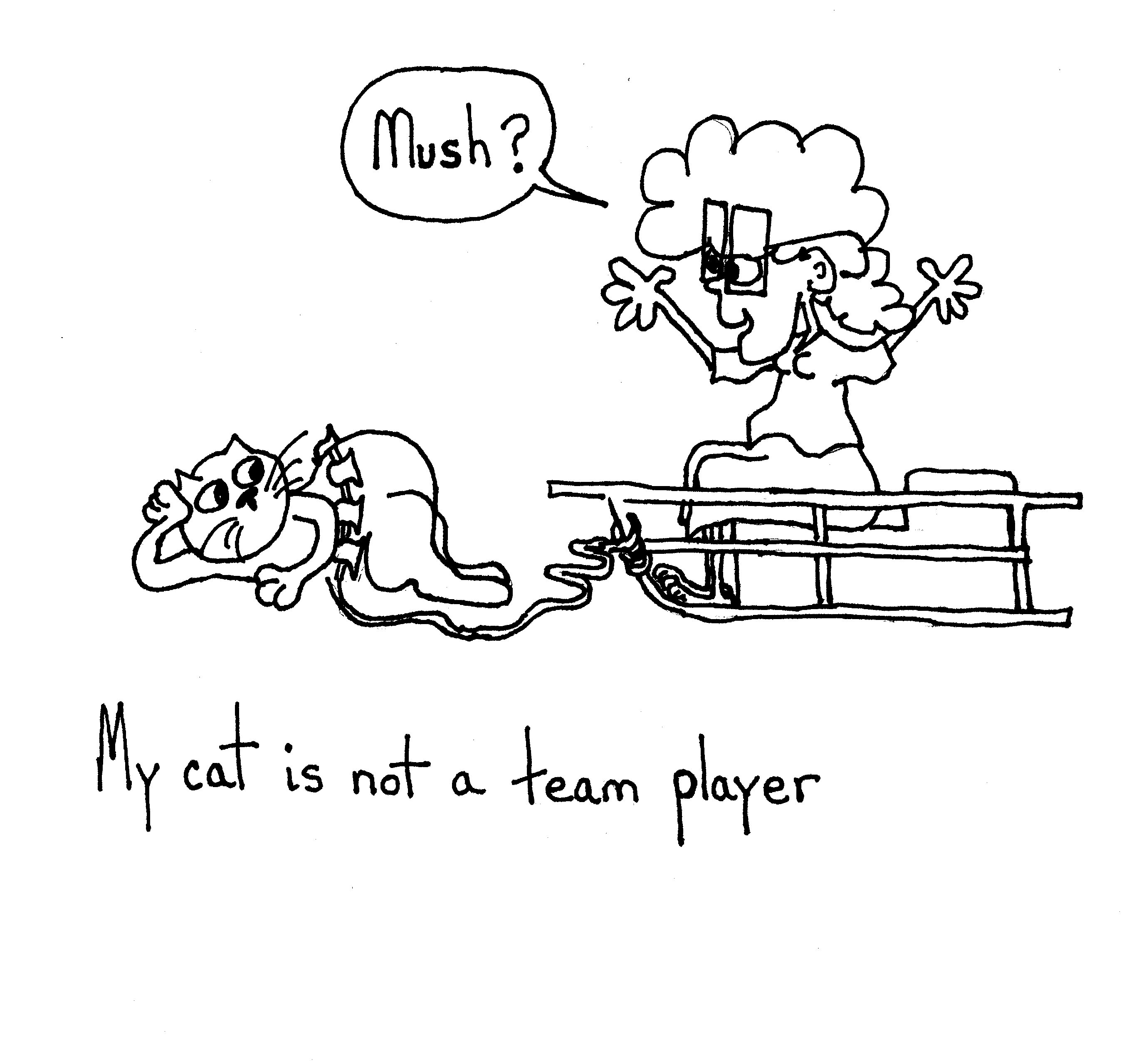 No Cat In Team