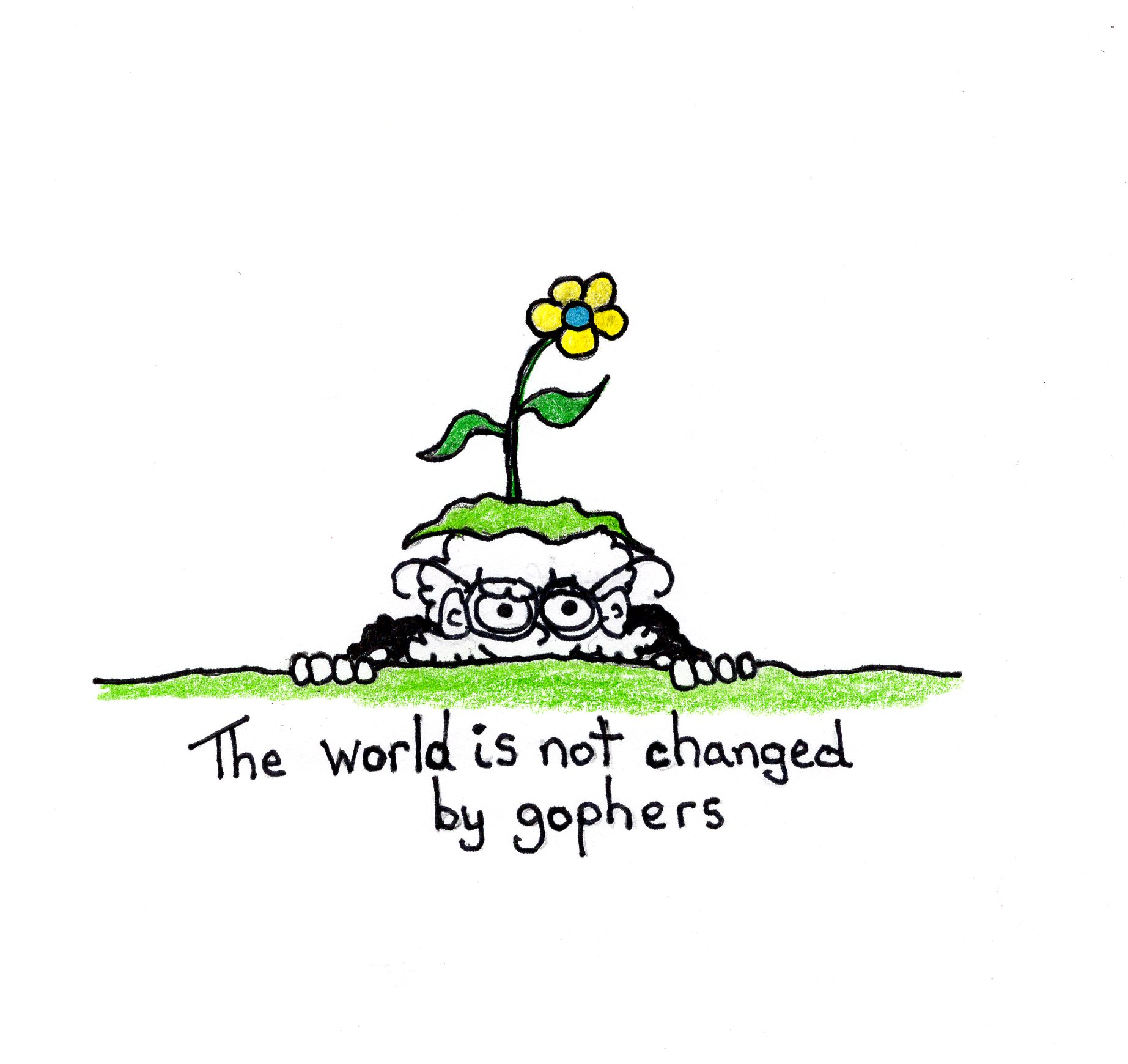 Not The Gopher