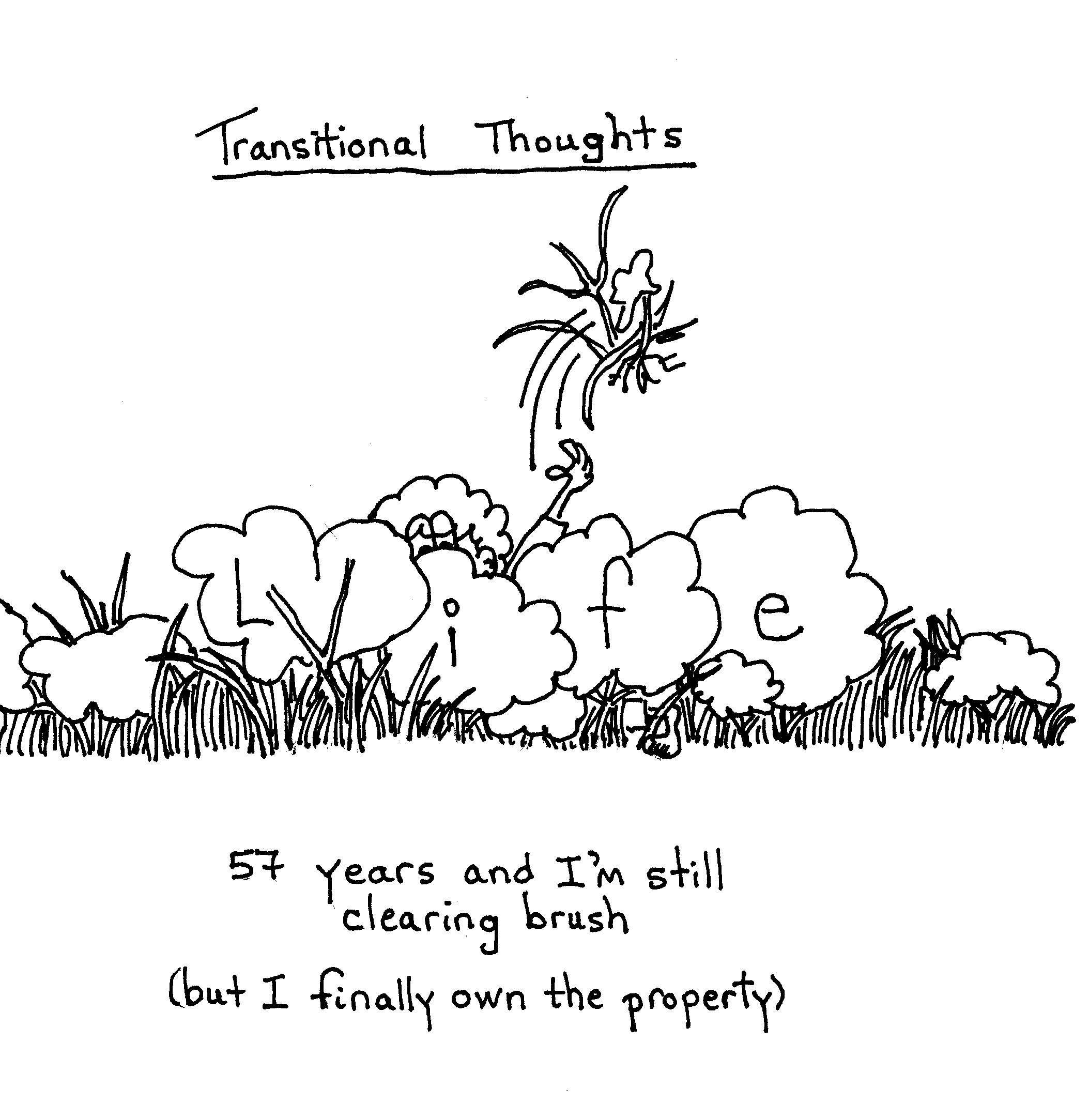 Own The Property
