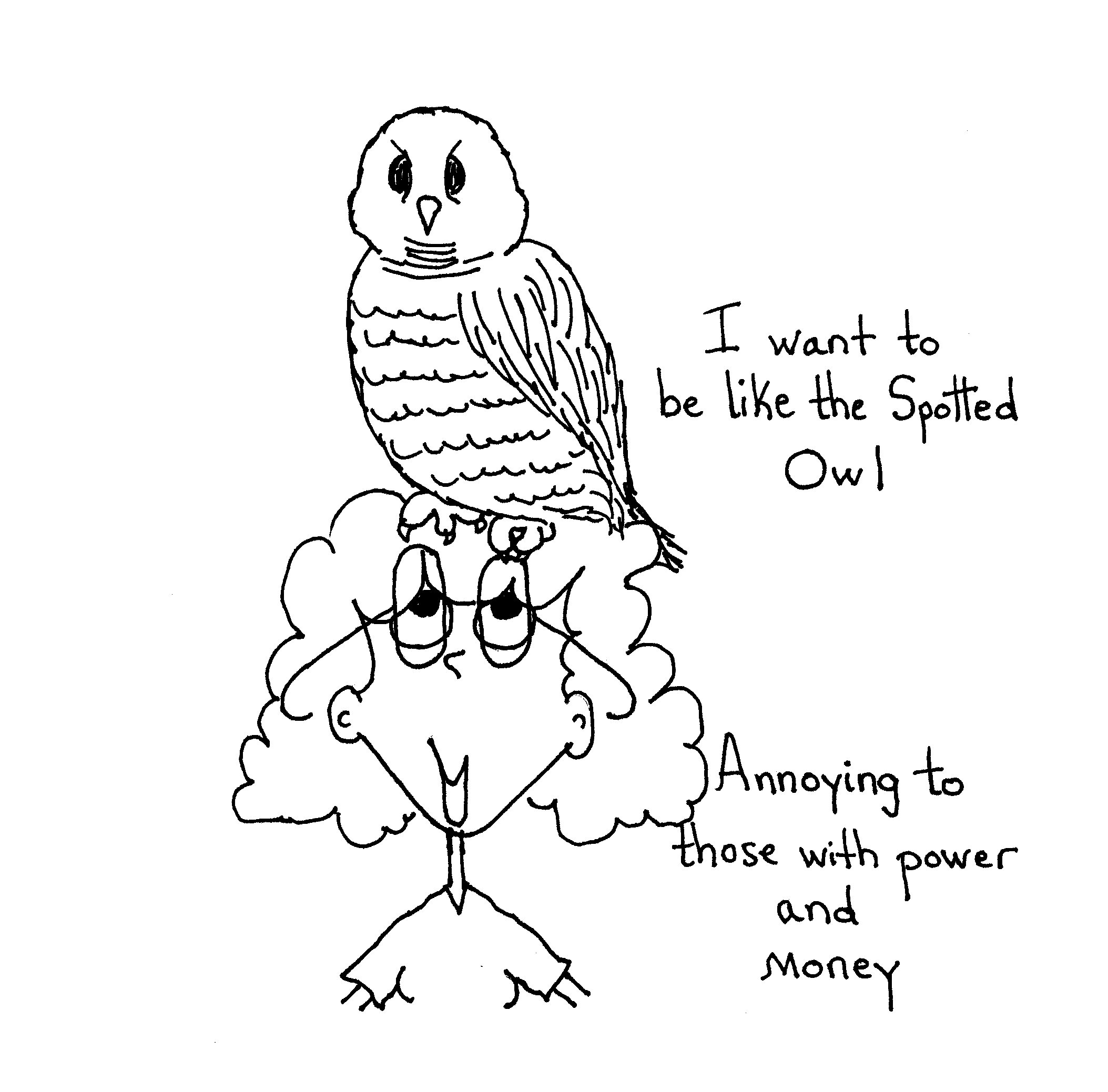 Spotted Owl
