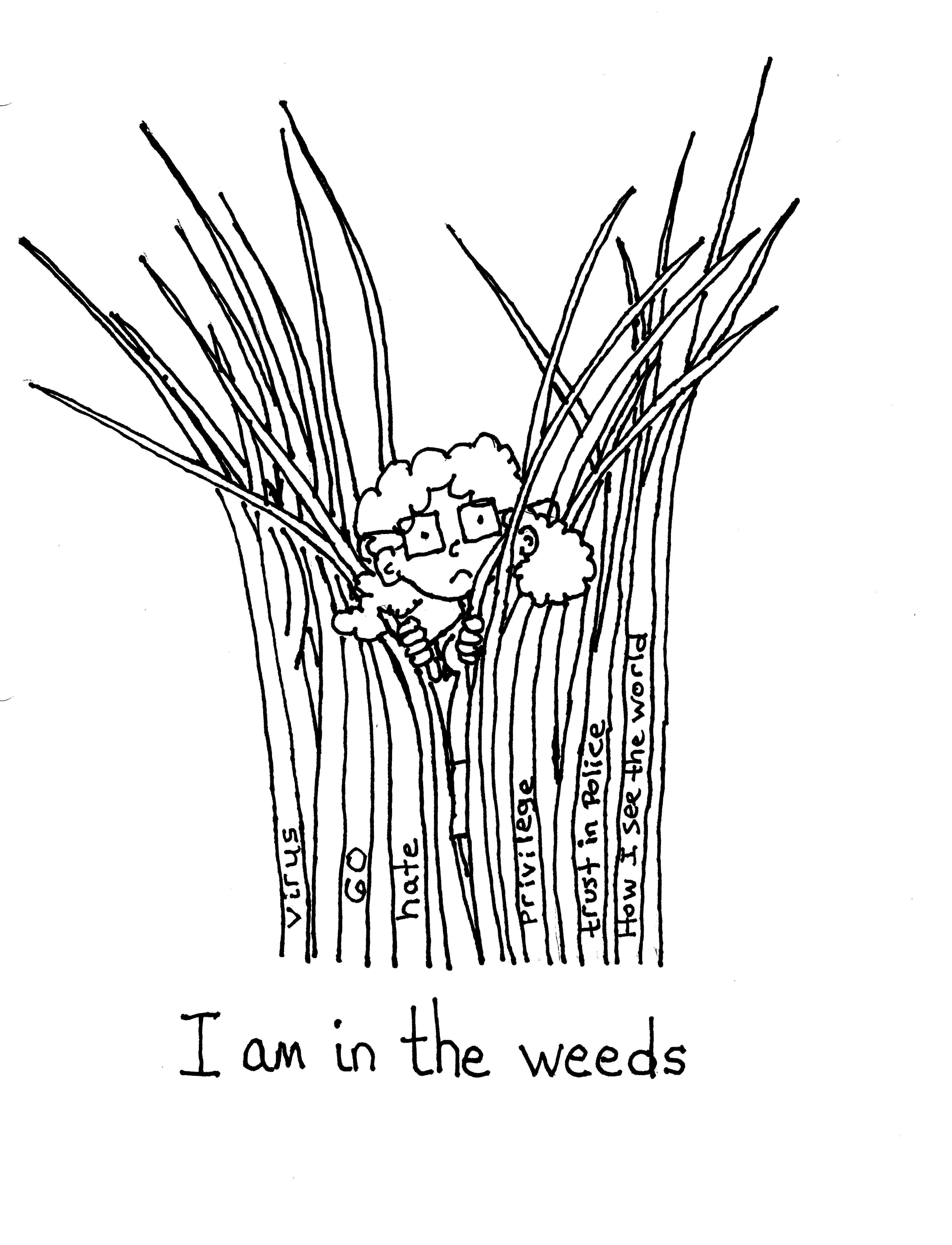 The Weeds