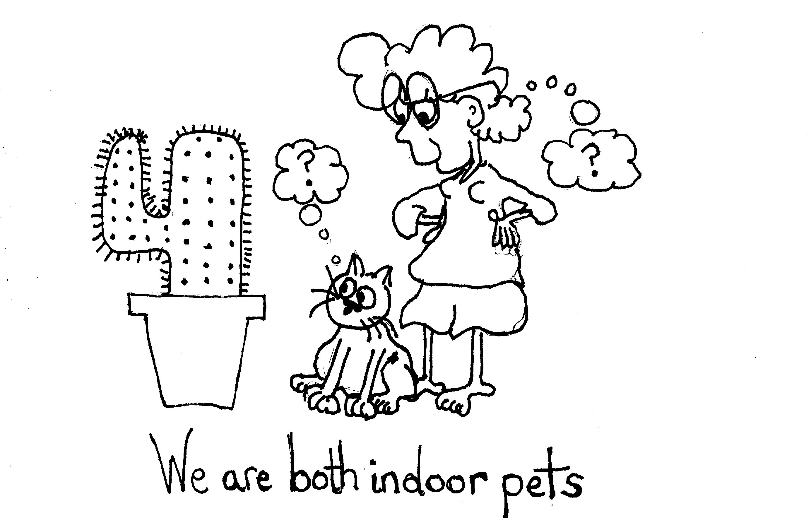 Indoor Pets