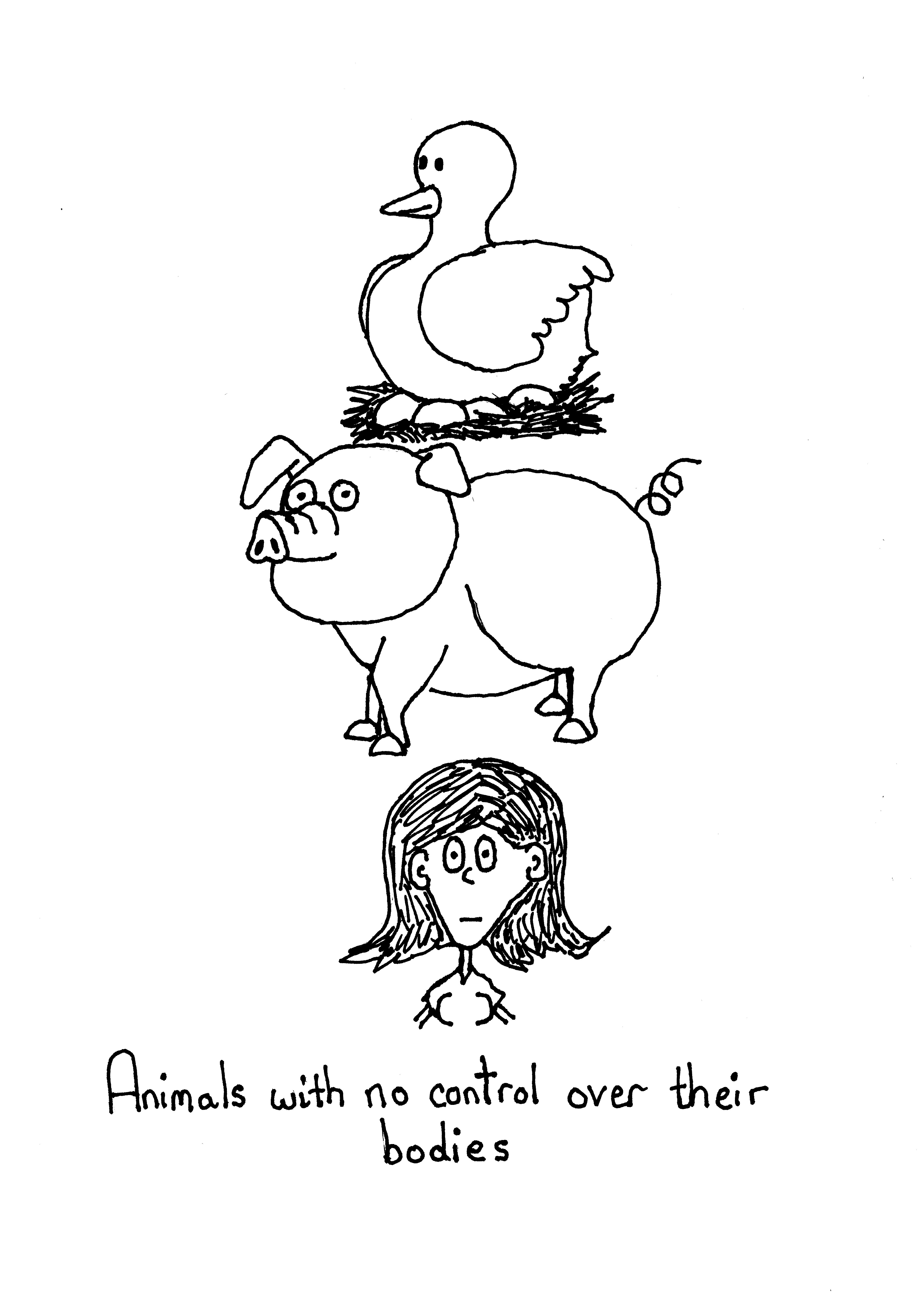 Animals