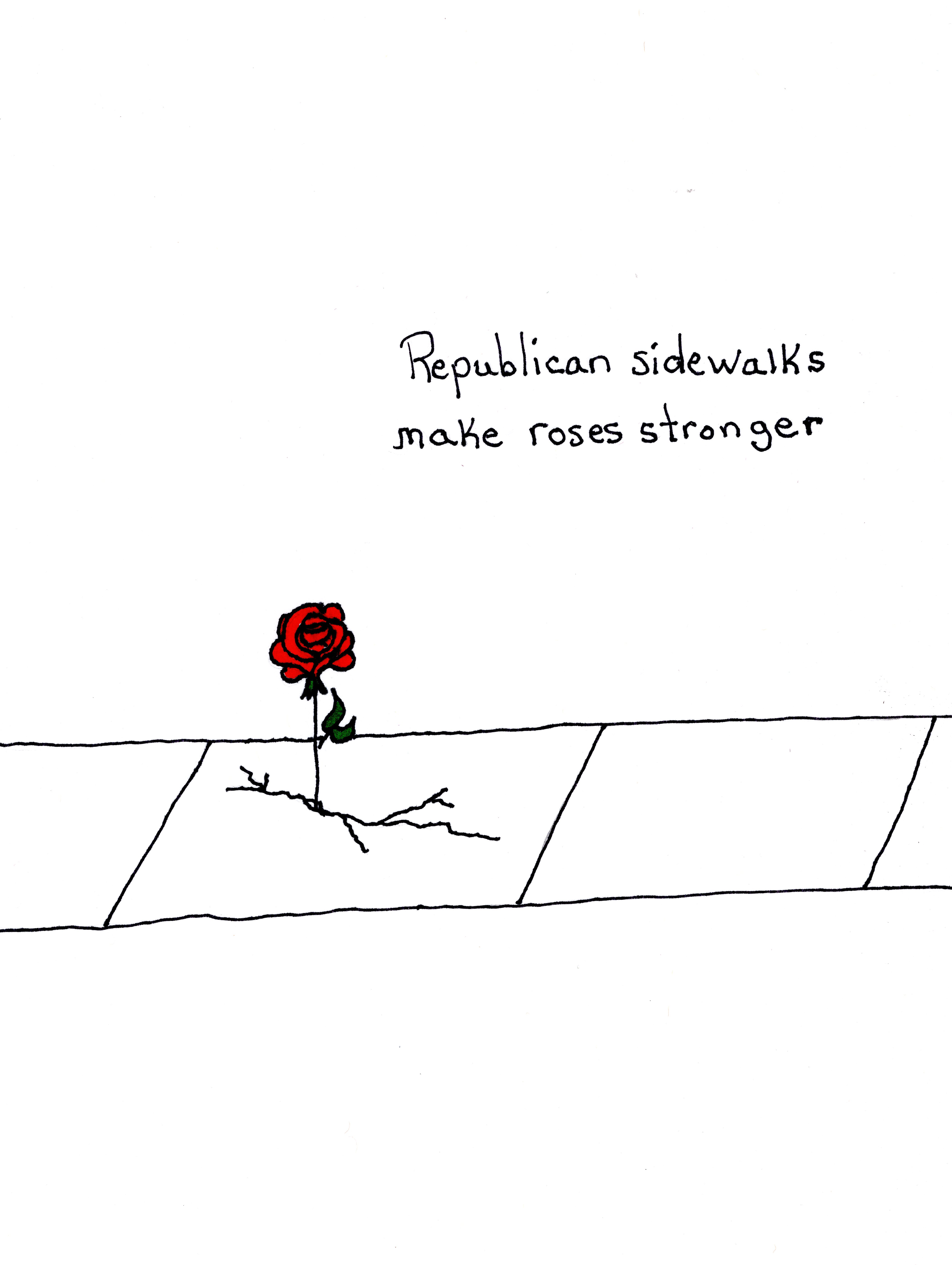 A Rose